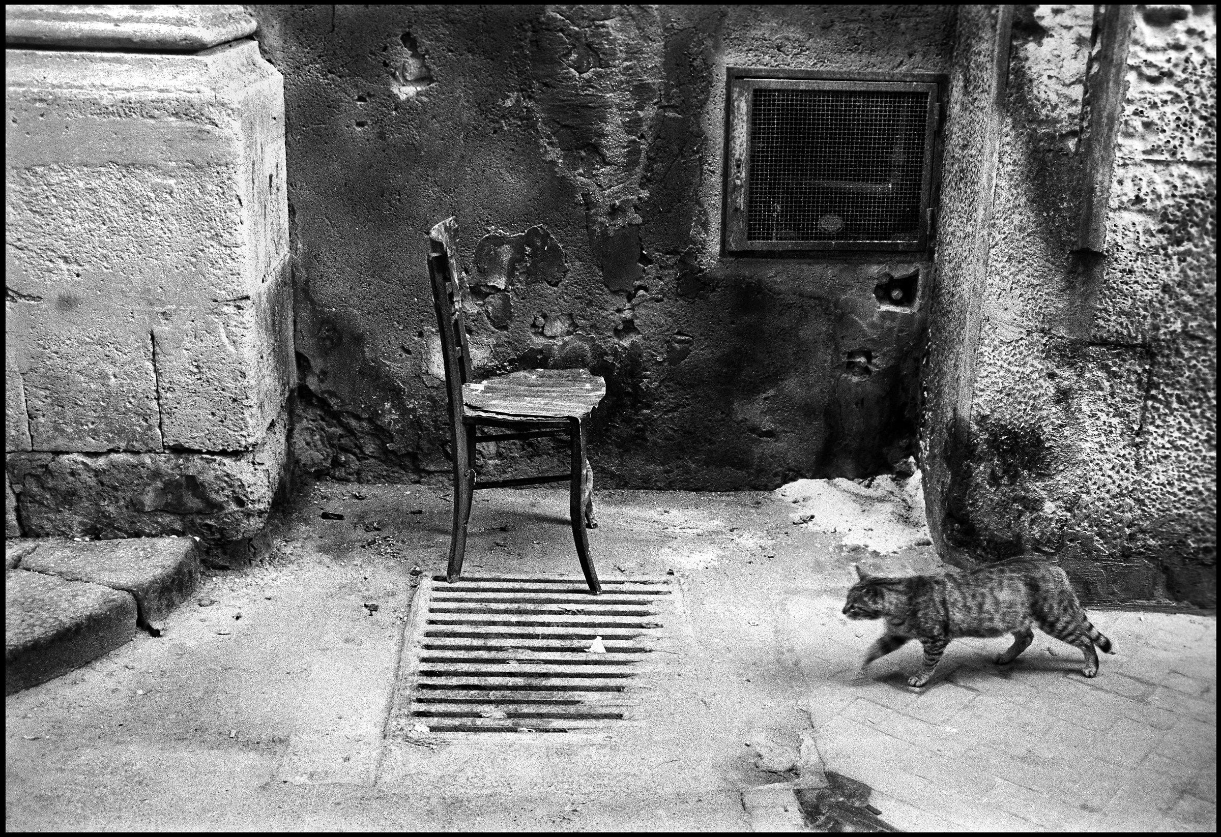 The Cat and the Chair - Syracuse 1995...