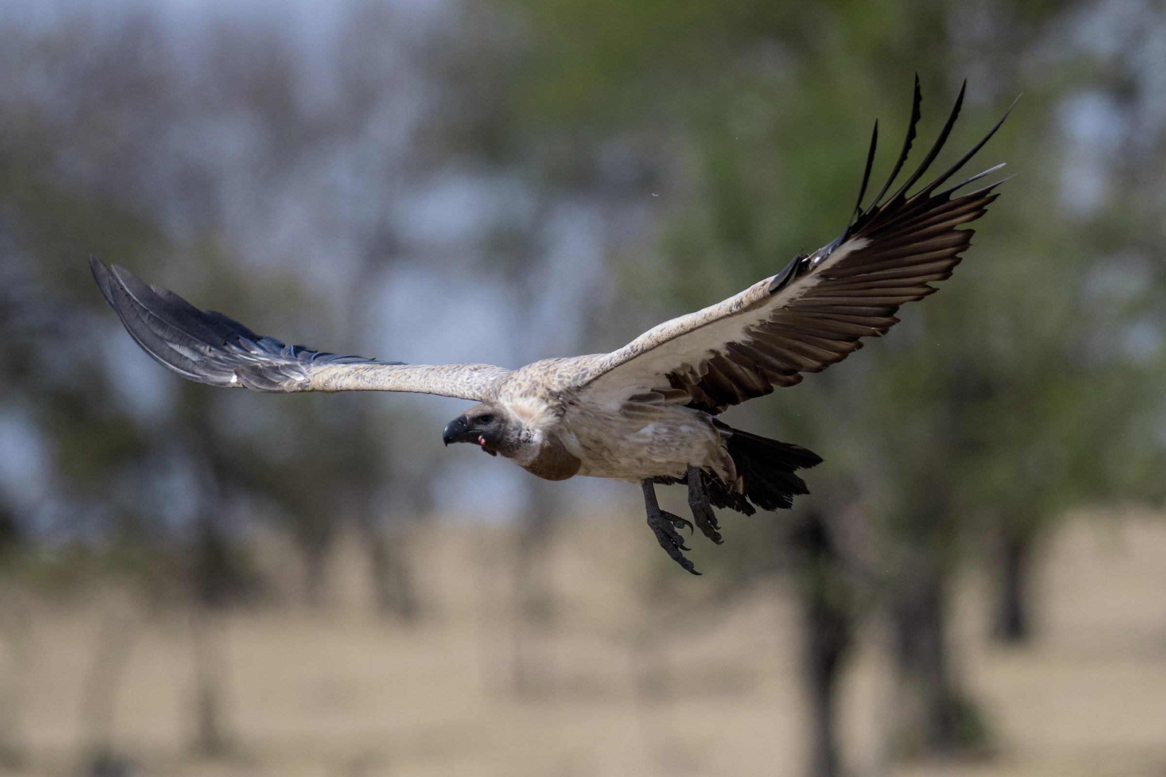 the flight...