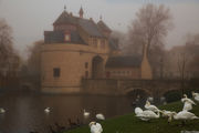 [Photo]