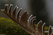 [Photo]