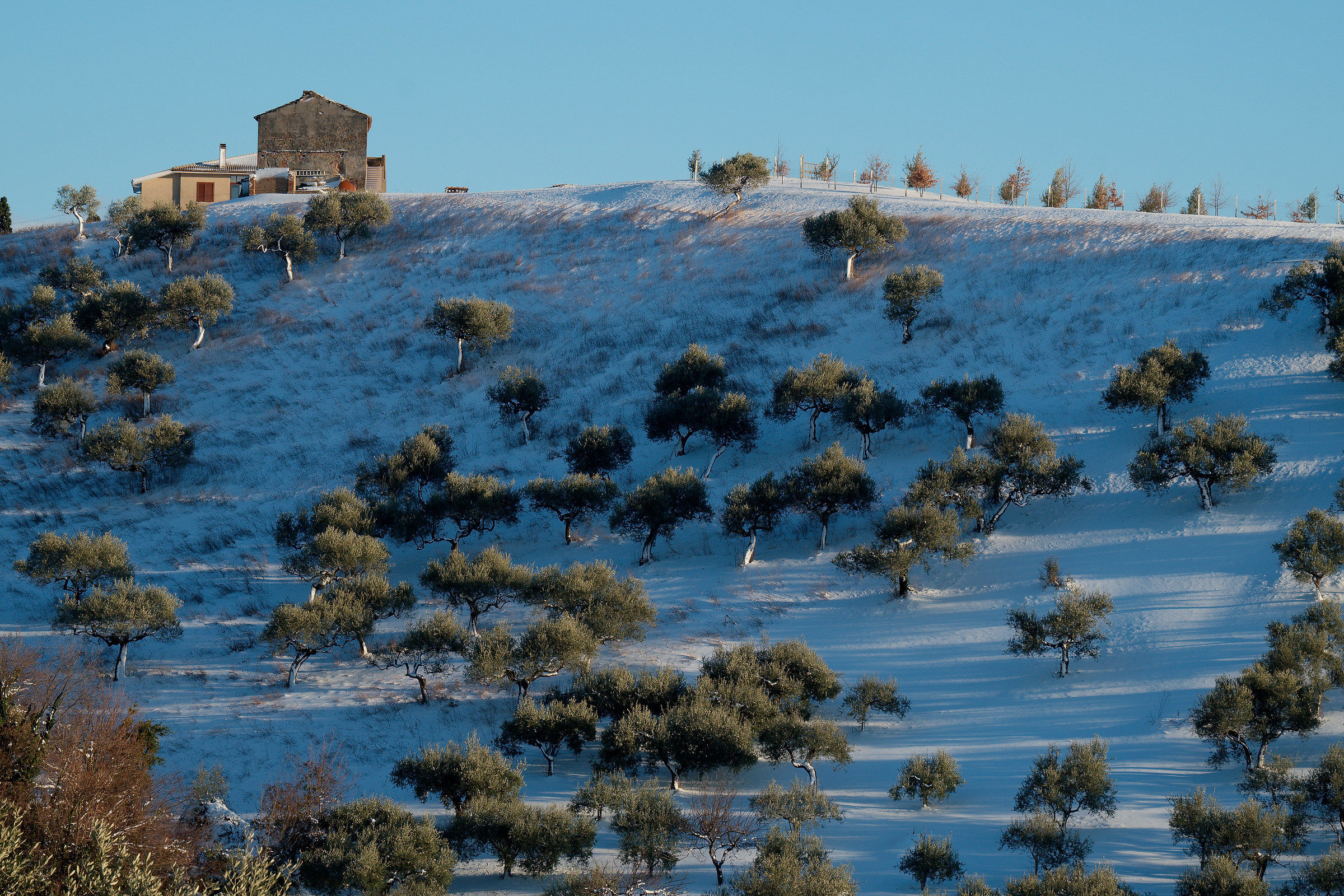 The hillside homes...