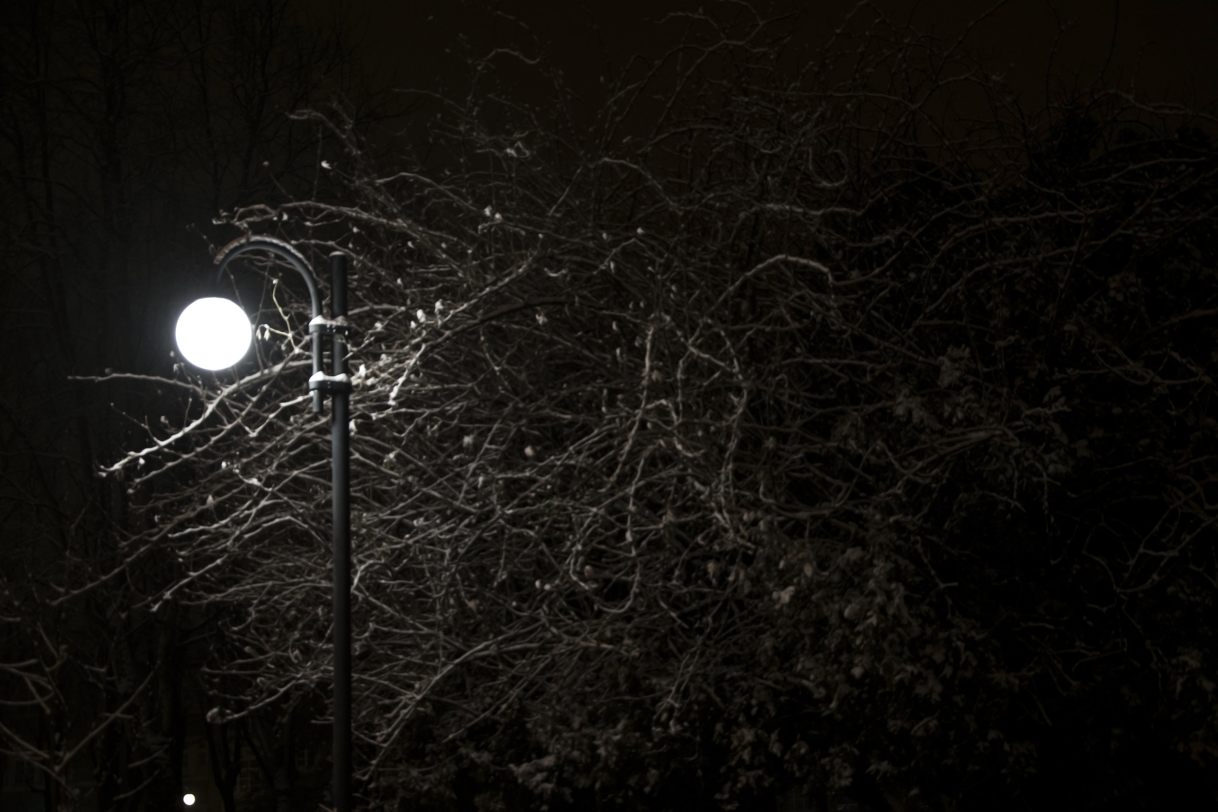 One winter evening, snow, a street light ......