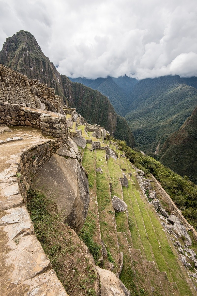 Coltivare a Machu Picchu...