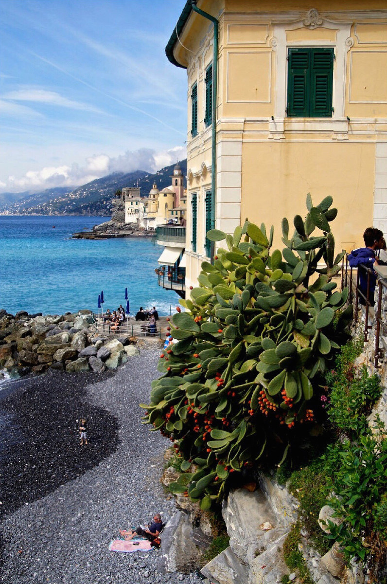 Relax in Camogli...