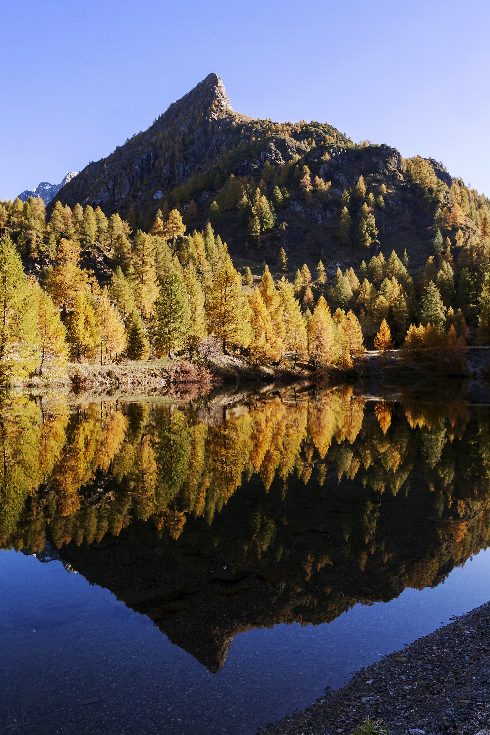 Autumn reflections ... lake cavasabbia...