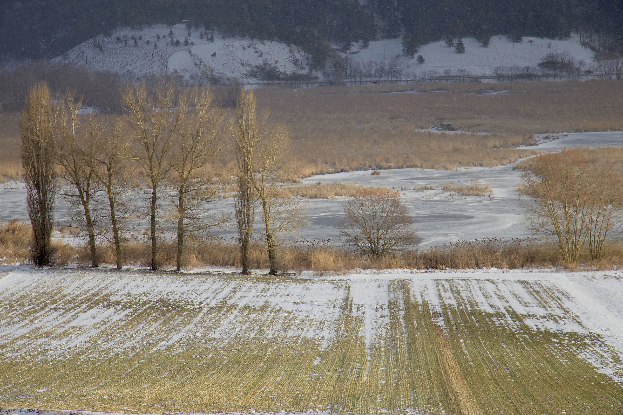 Il lato bello dell'inverno...