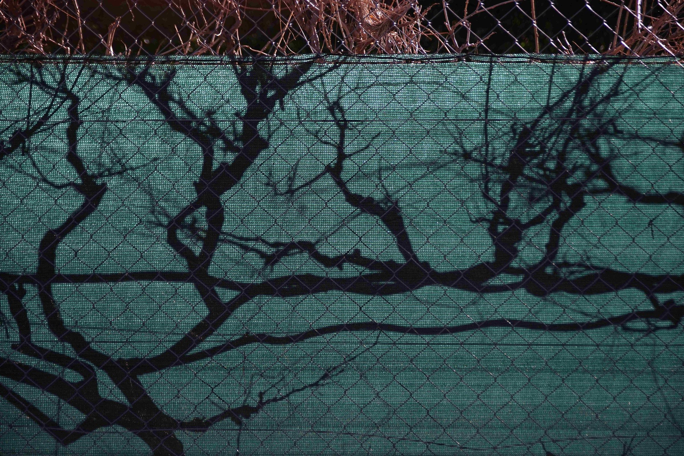 Shadows in the nets...