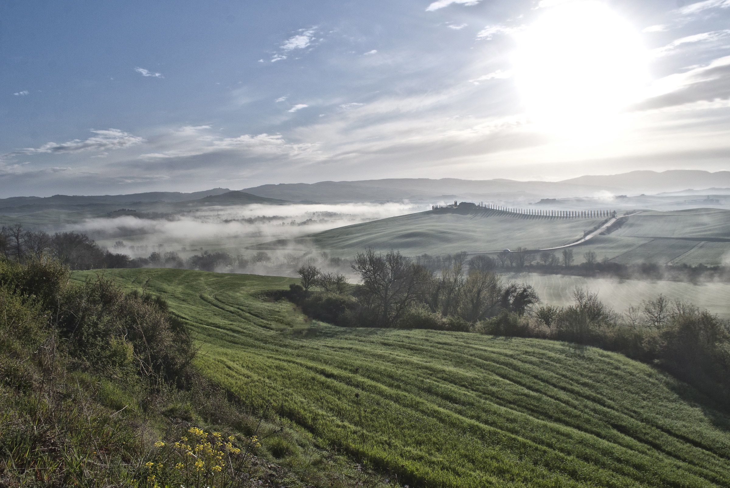 Val d'Orcia # 5...