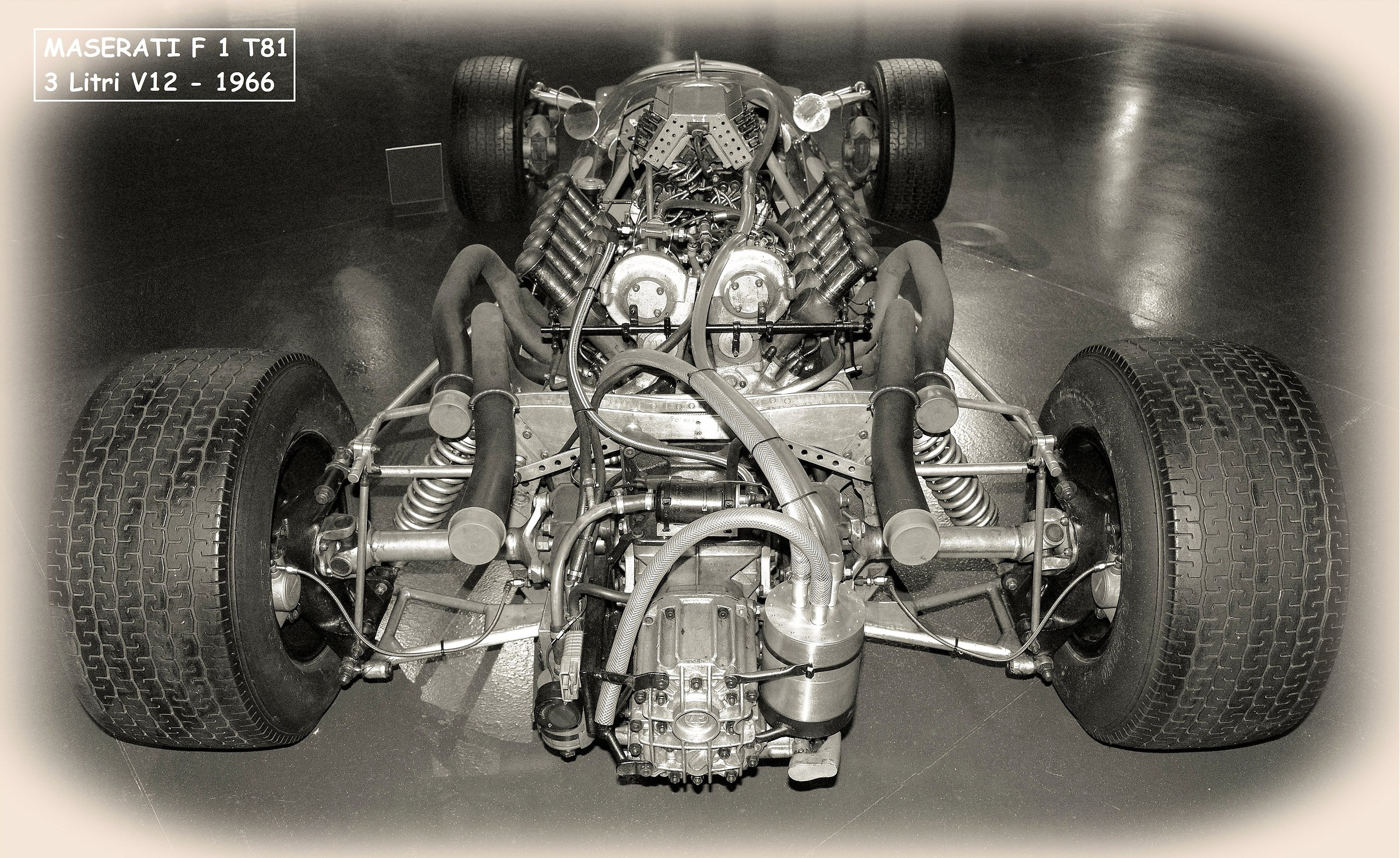 Cooper - Maserati F.1 T81 3 liter V12 - 1966...