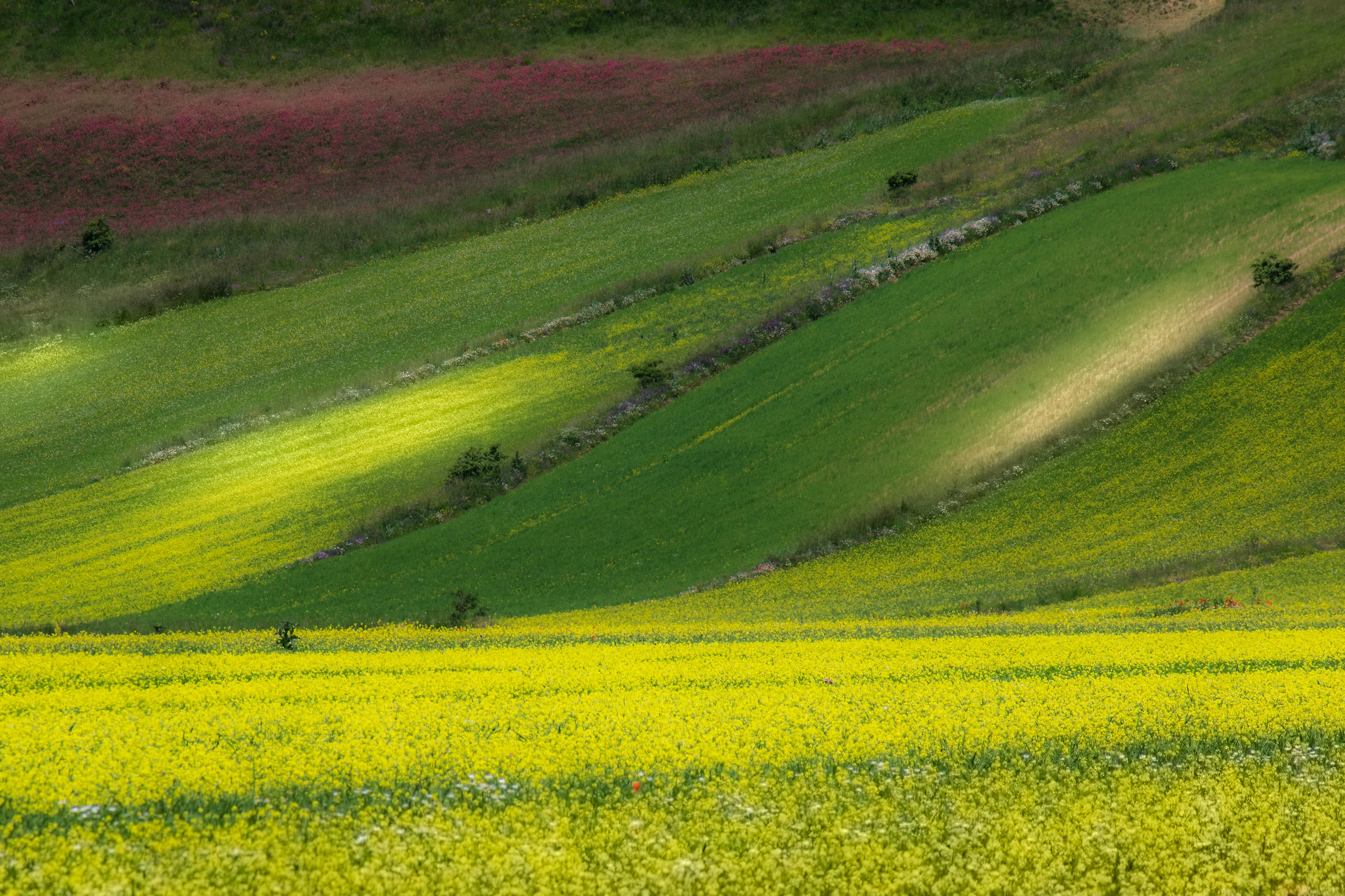 Colors...