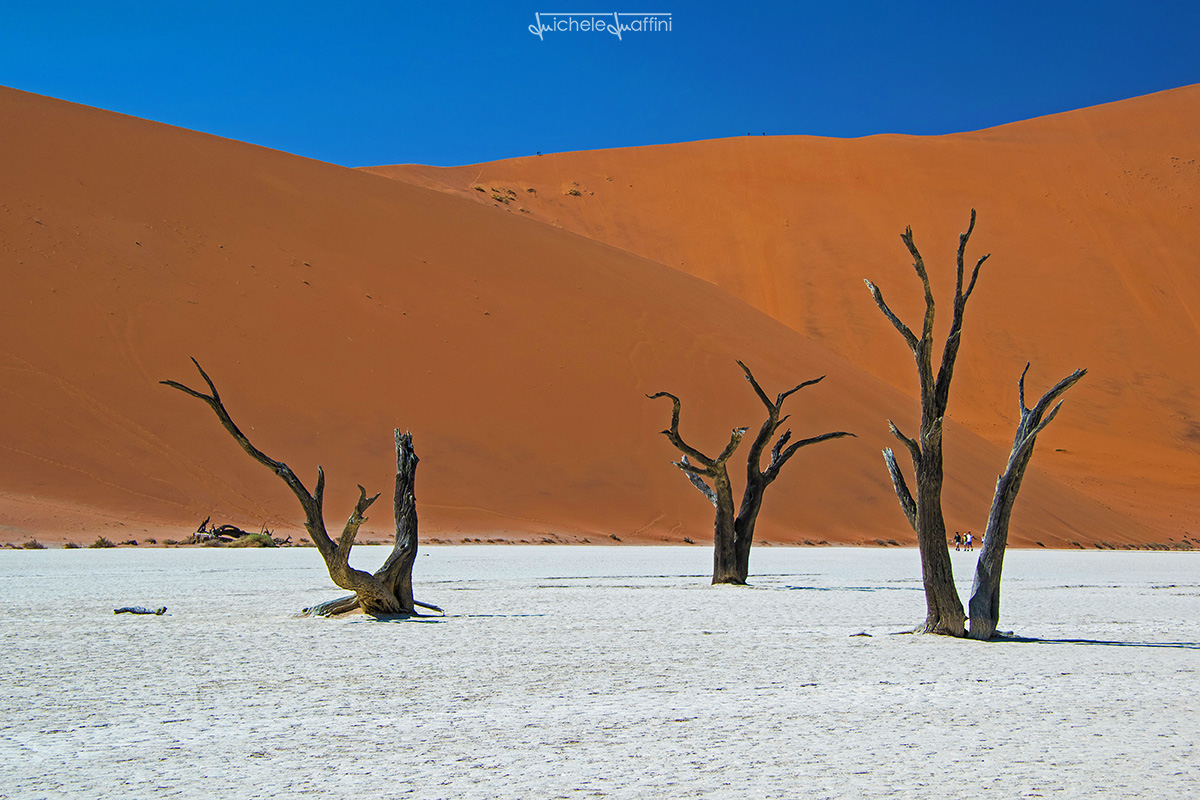 Namibia - Dead Vlei...