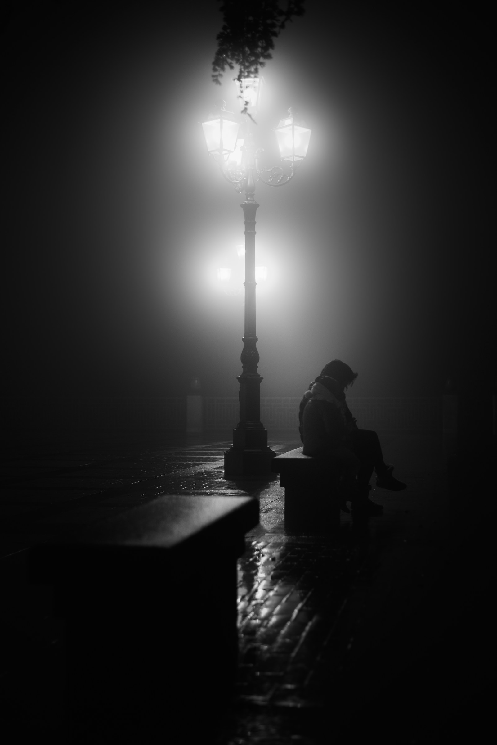 Thoughts suspended in the fog...