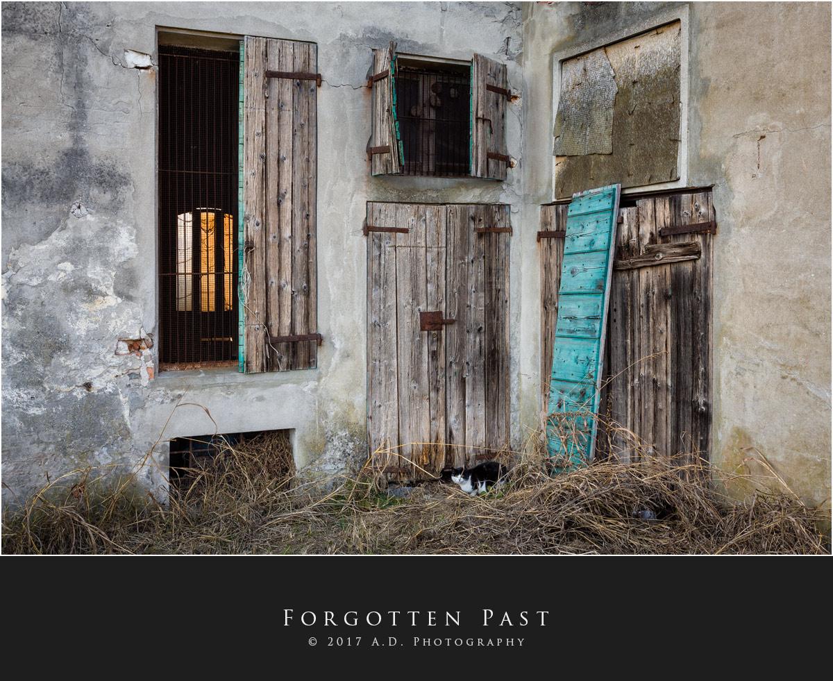 Forgotten Past...
