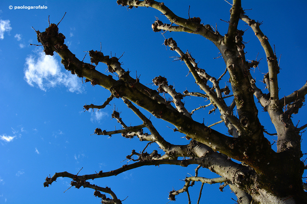 Sguardo verso il cielo...