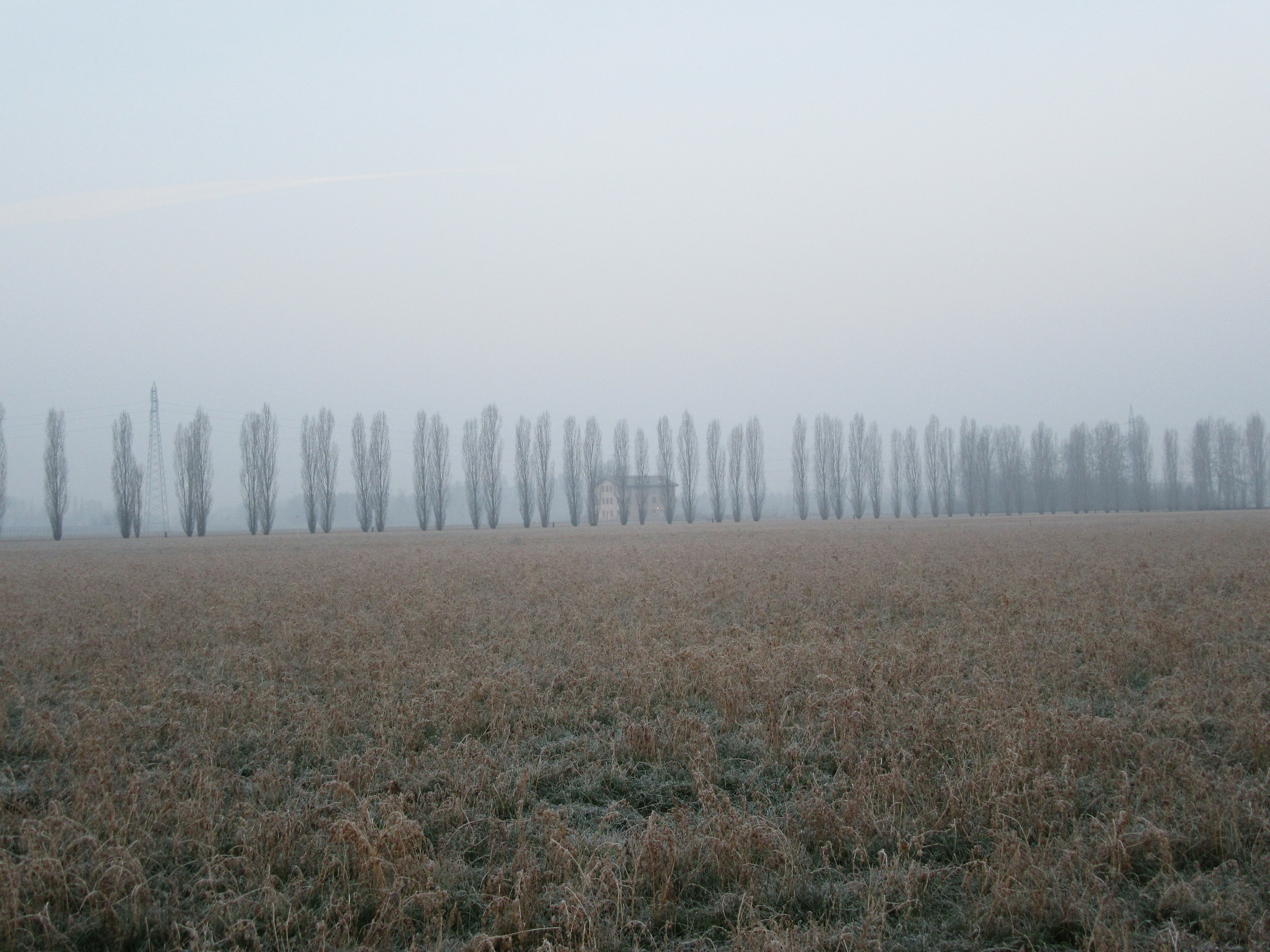 Touring the countryside of Modena, at 8 am...