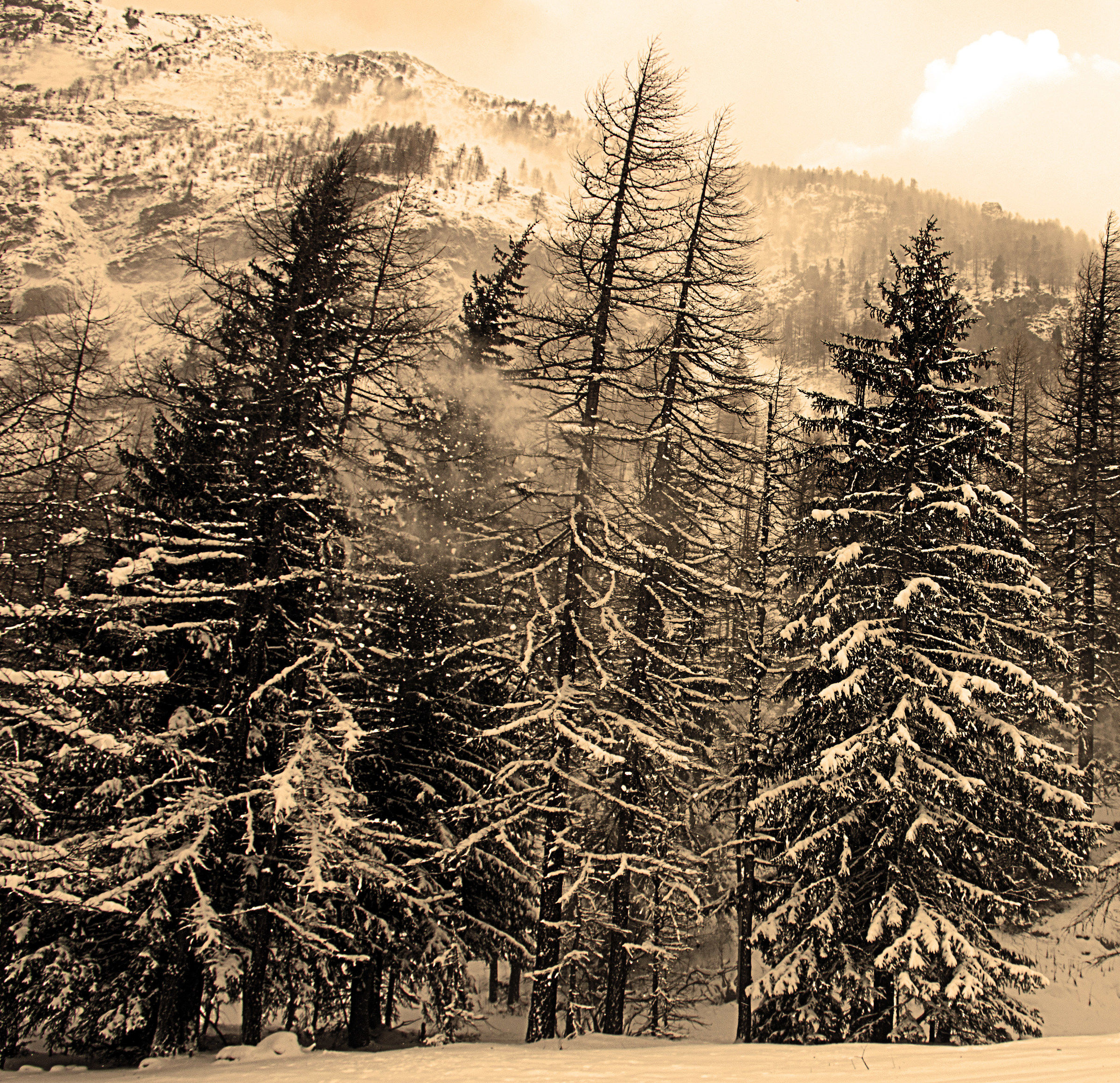 the Gran Paradiso National Park, snowstorm...