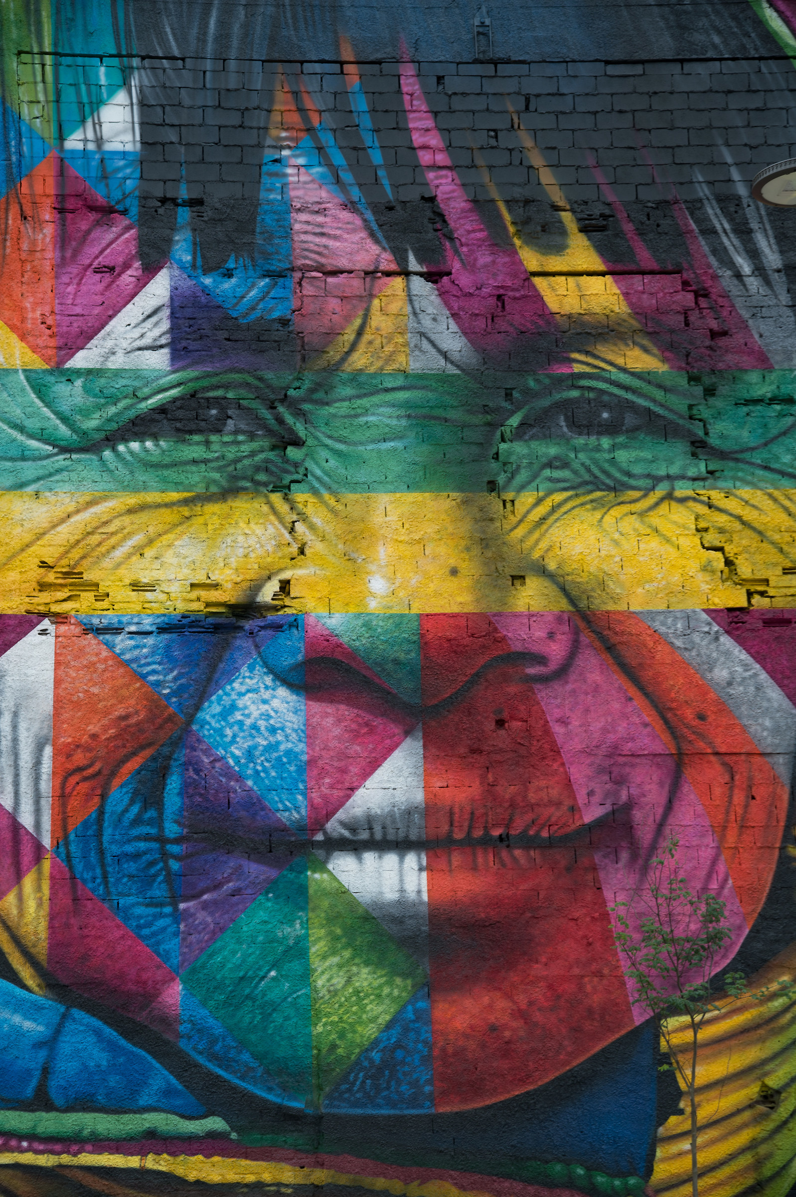 murales a rio artista kobra...