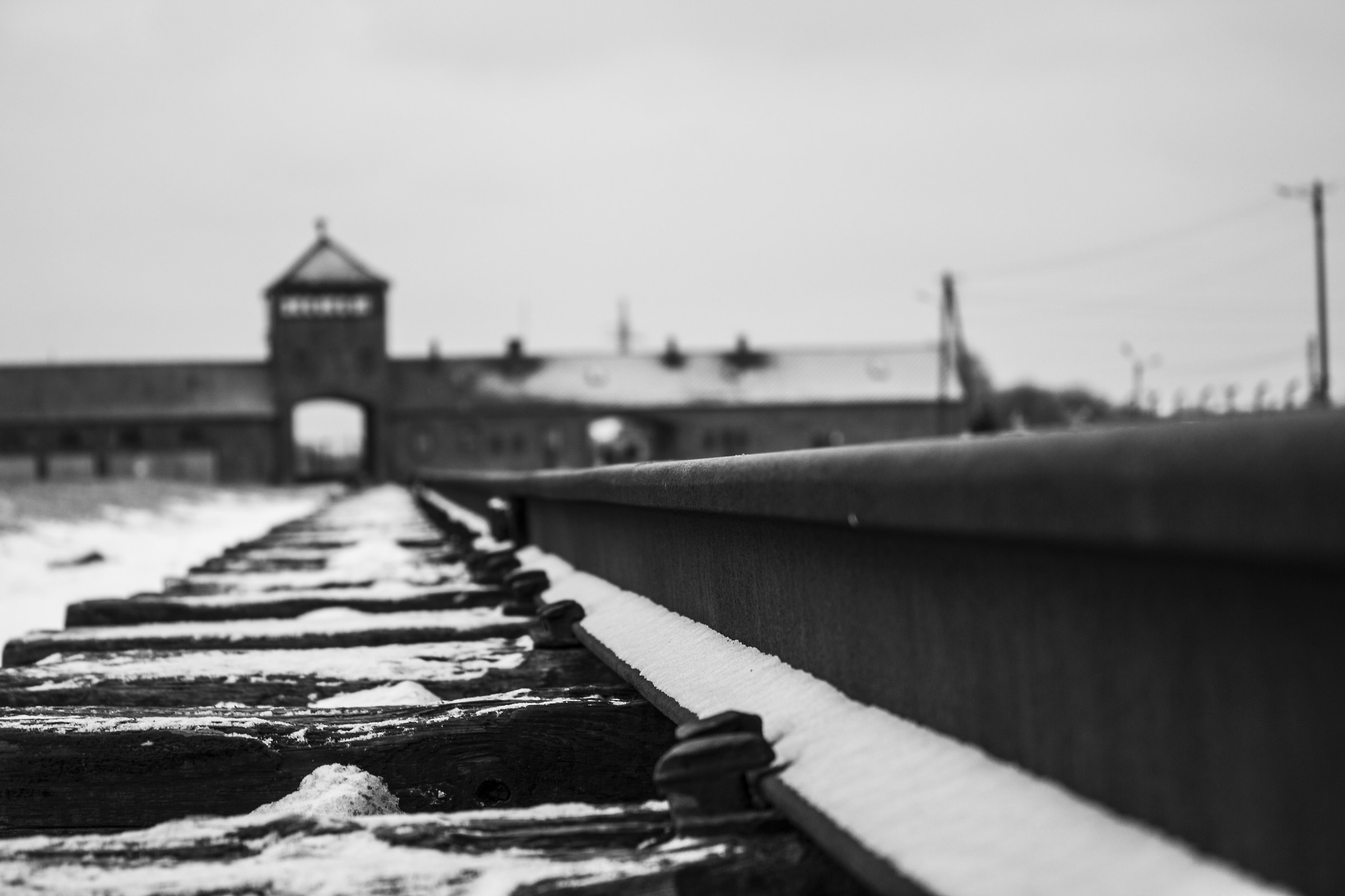 Auschwitz Birkenau. The track of death...