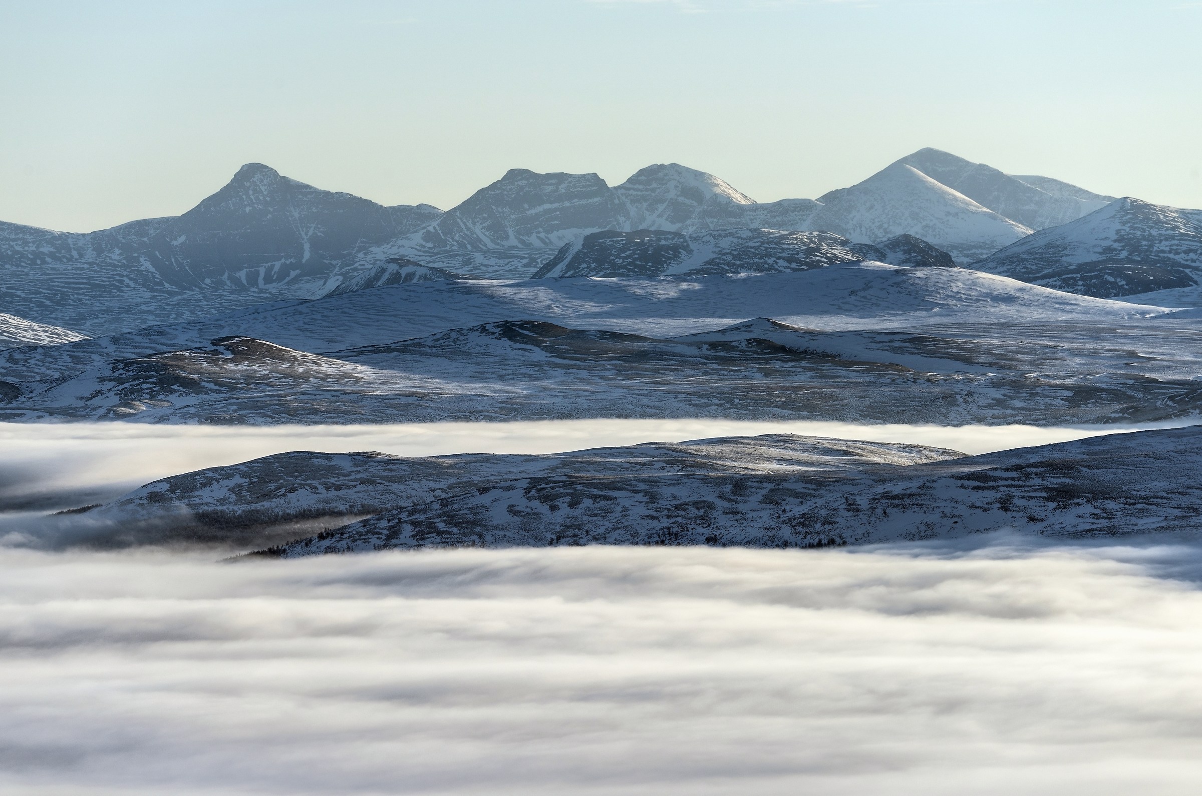 Dovrefjell 2017 - Alba...