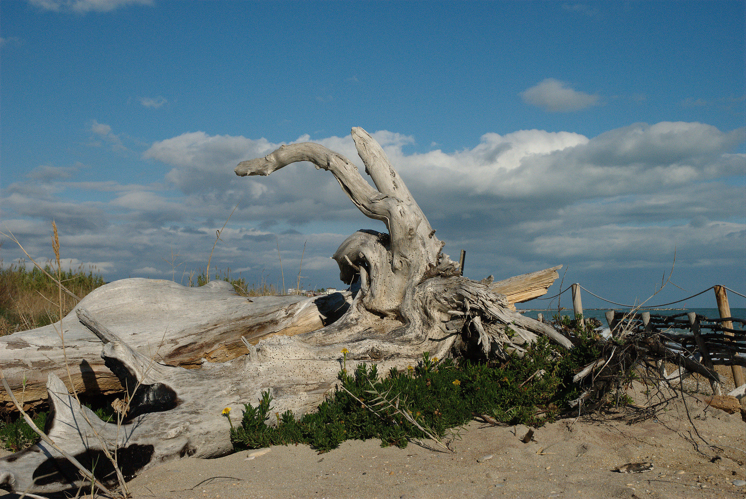 Spiaggia, San Benedetto del Tronto...