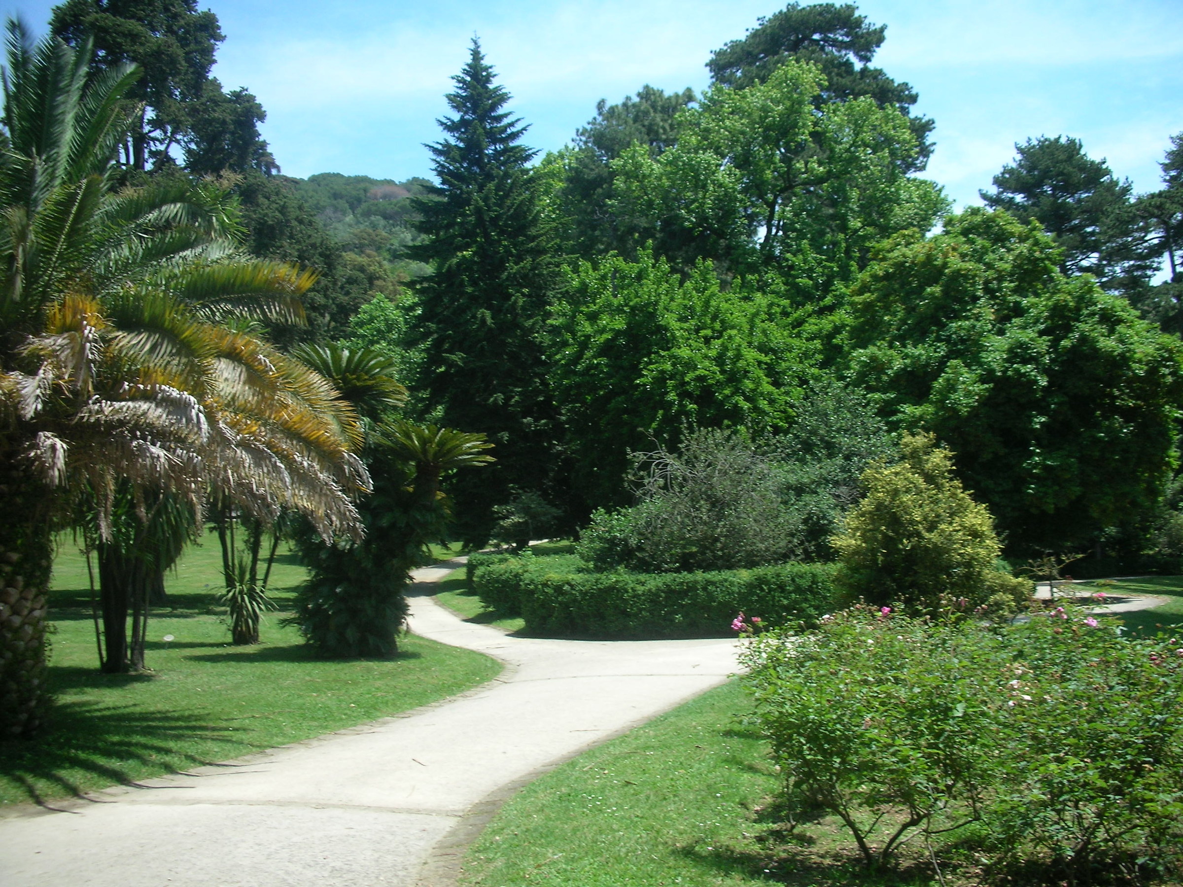 Botanical Garden...