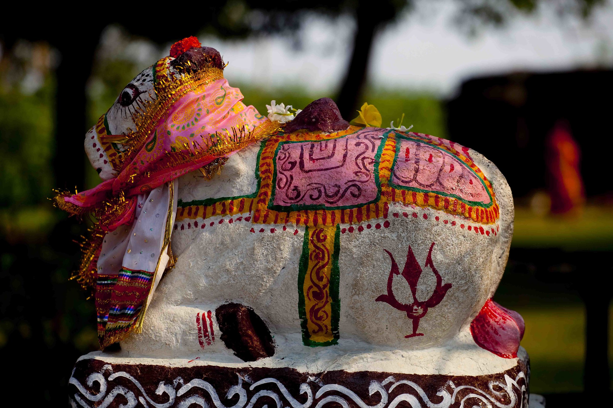 Ox sacred of Hindu religion - Orissa...