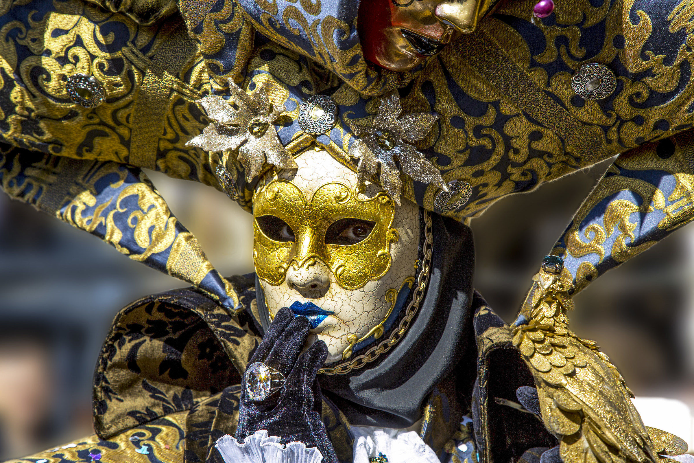 Carnevale Venezia 2017...