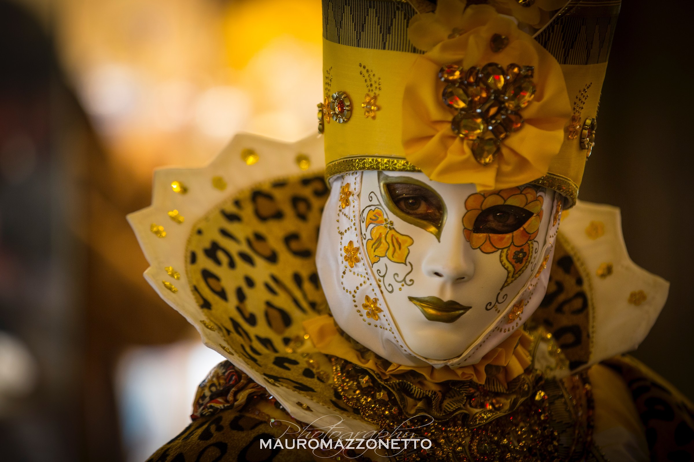 Carnevale di Venezia 2017...