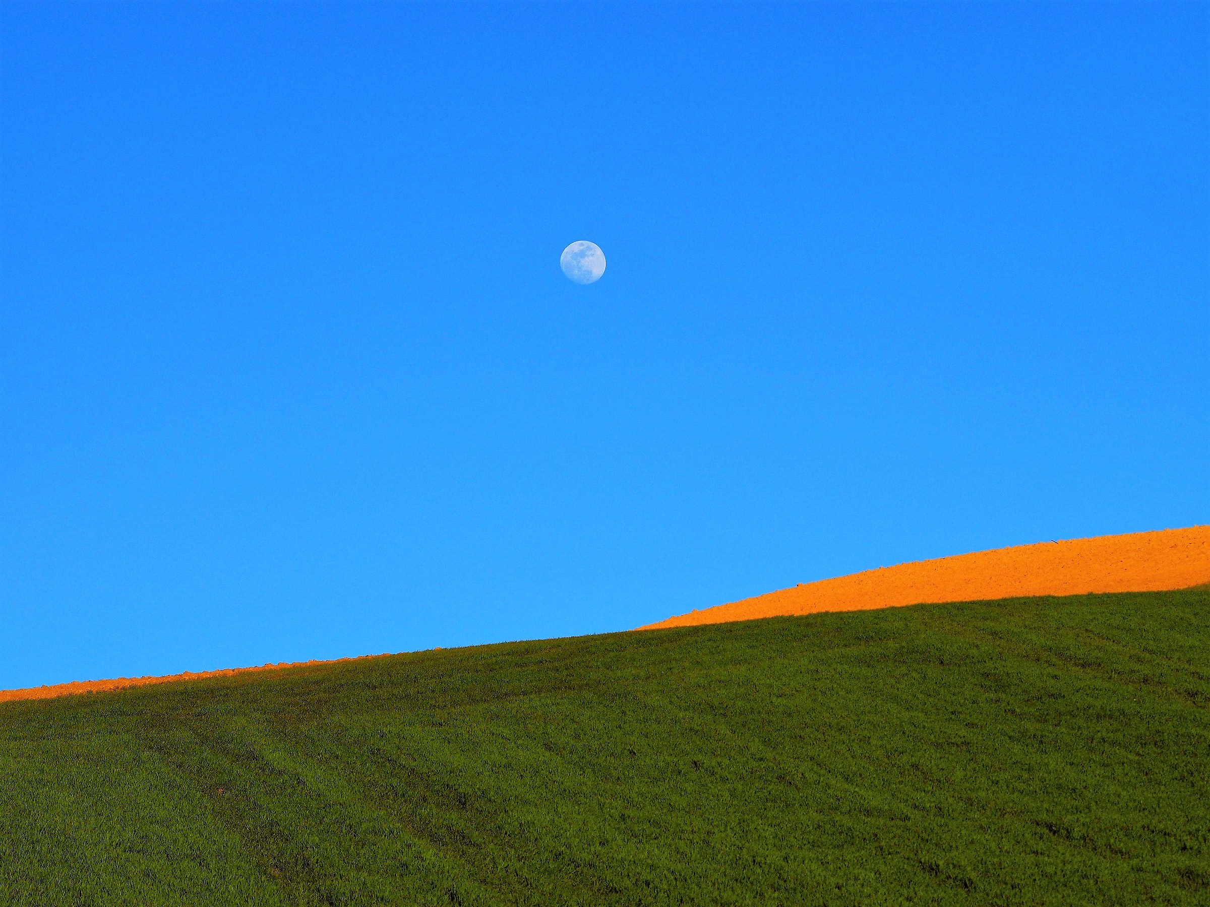 colors...