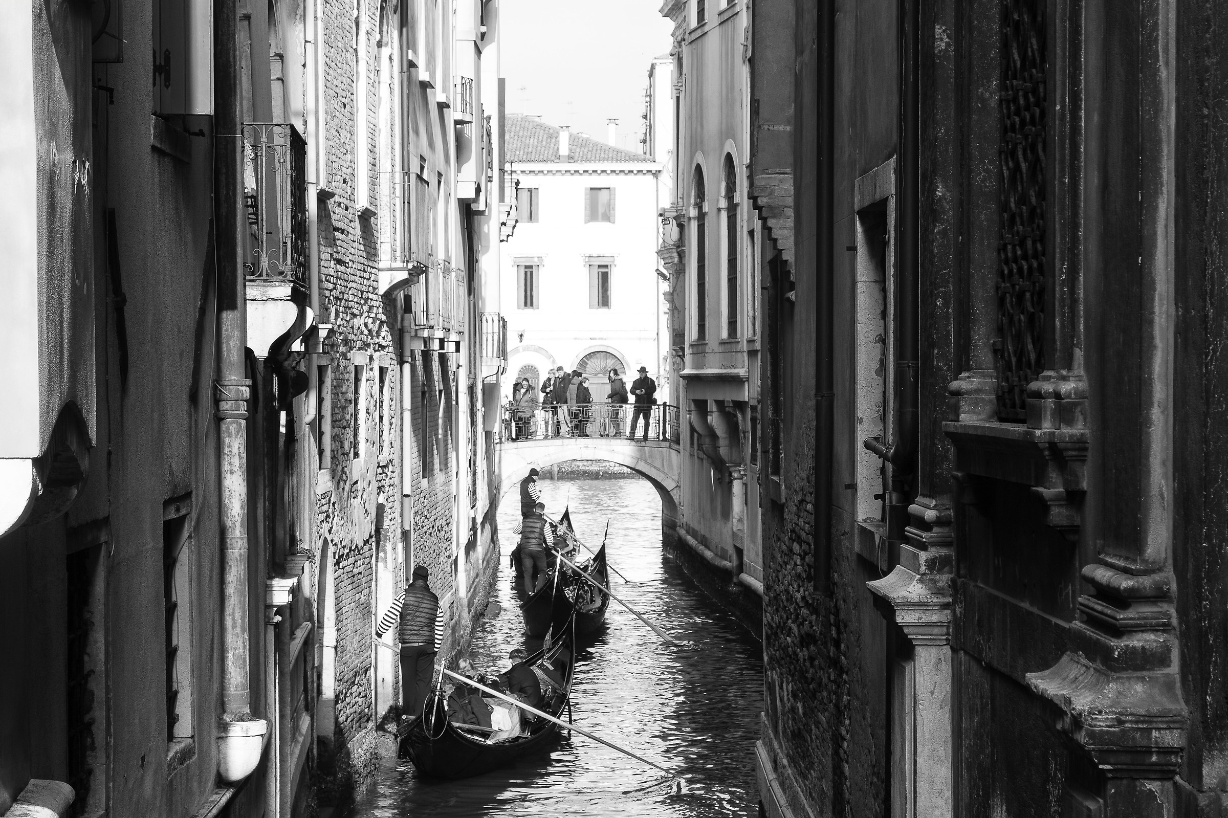 Traffico veneziano...