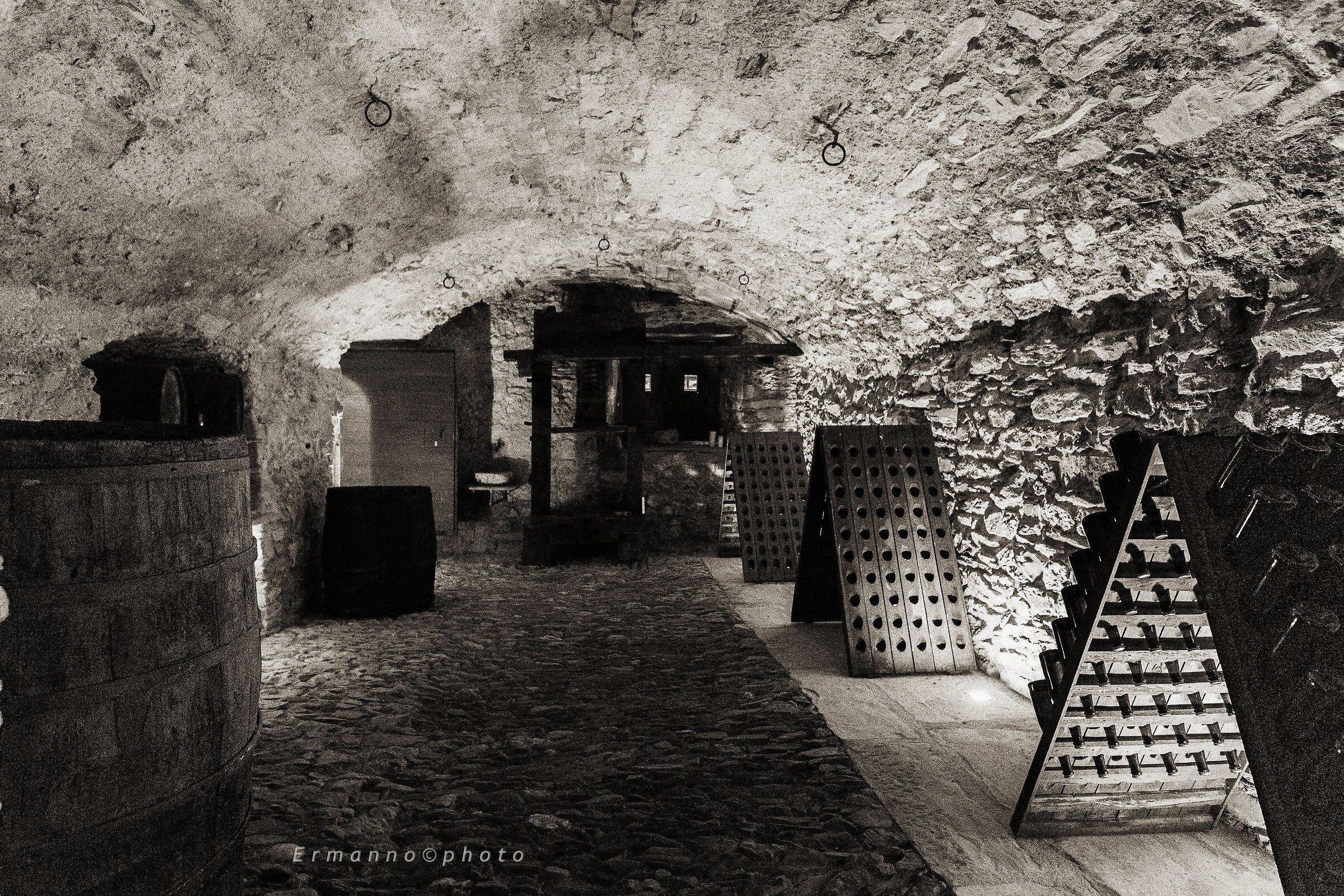 cellar...