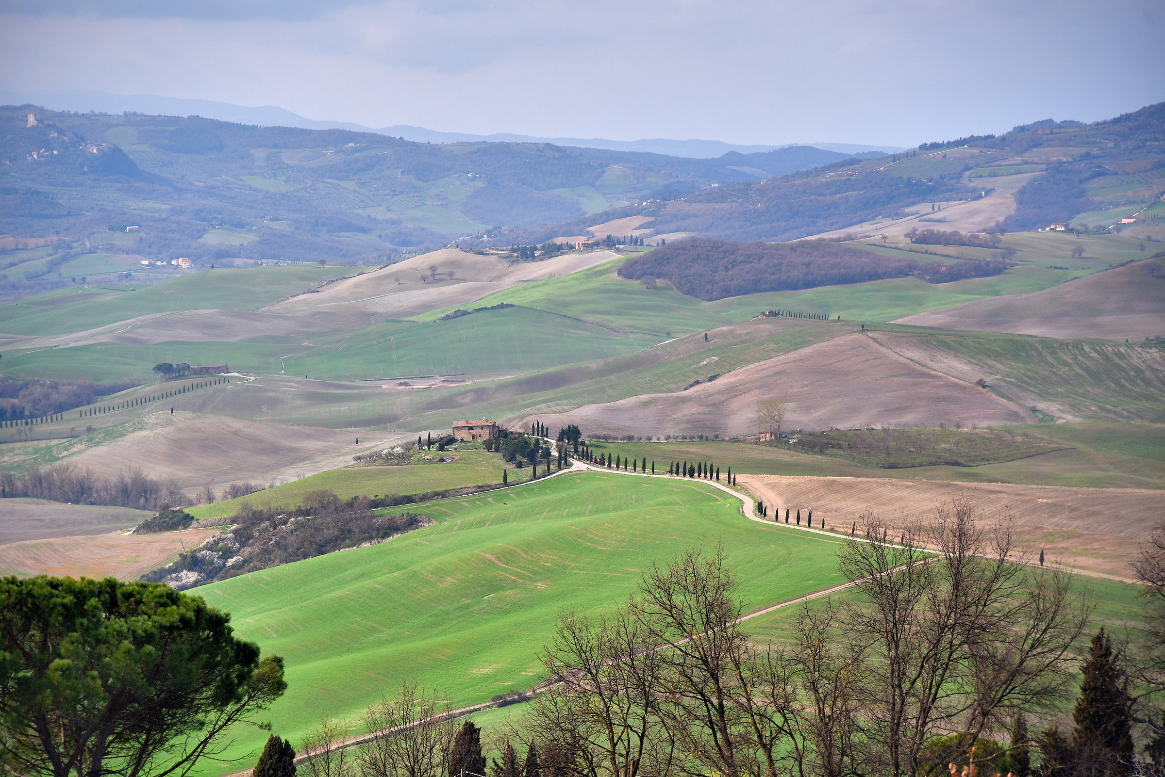 hills in Val d'Orcia...