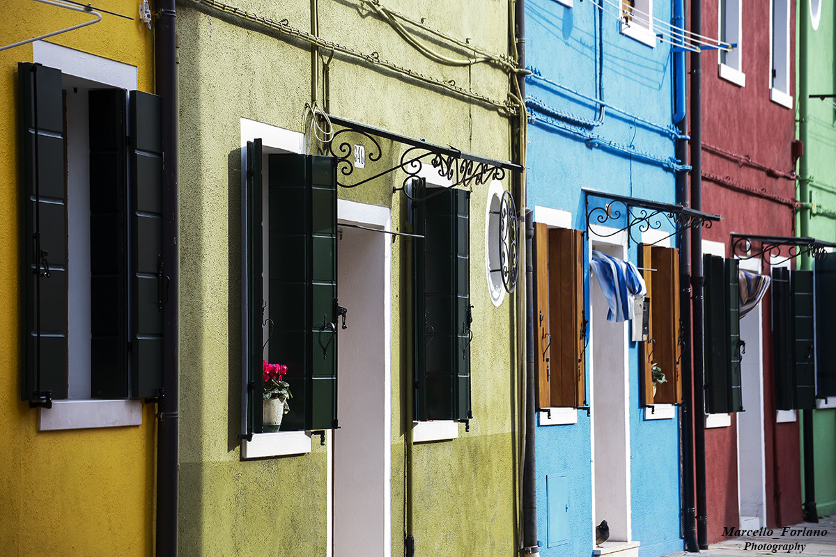 Colors of Burano...