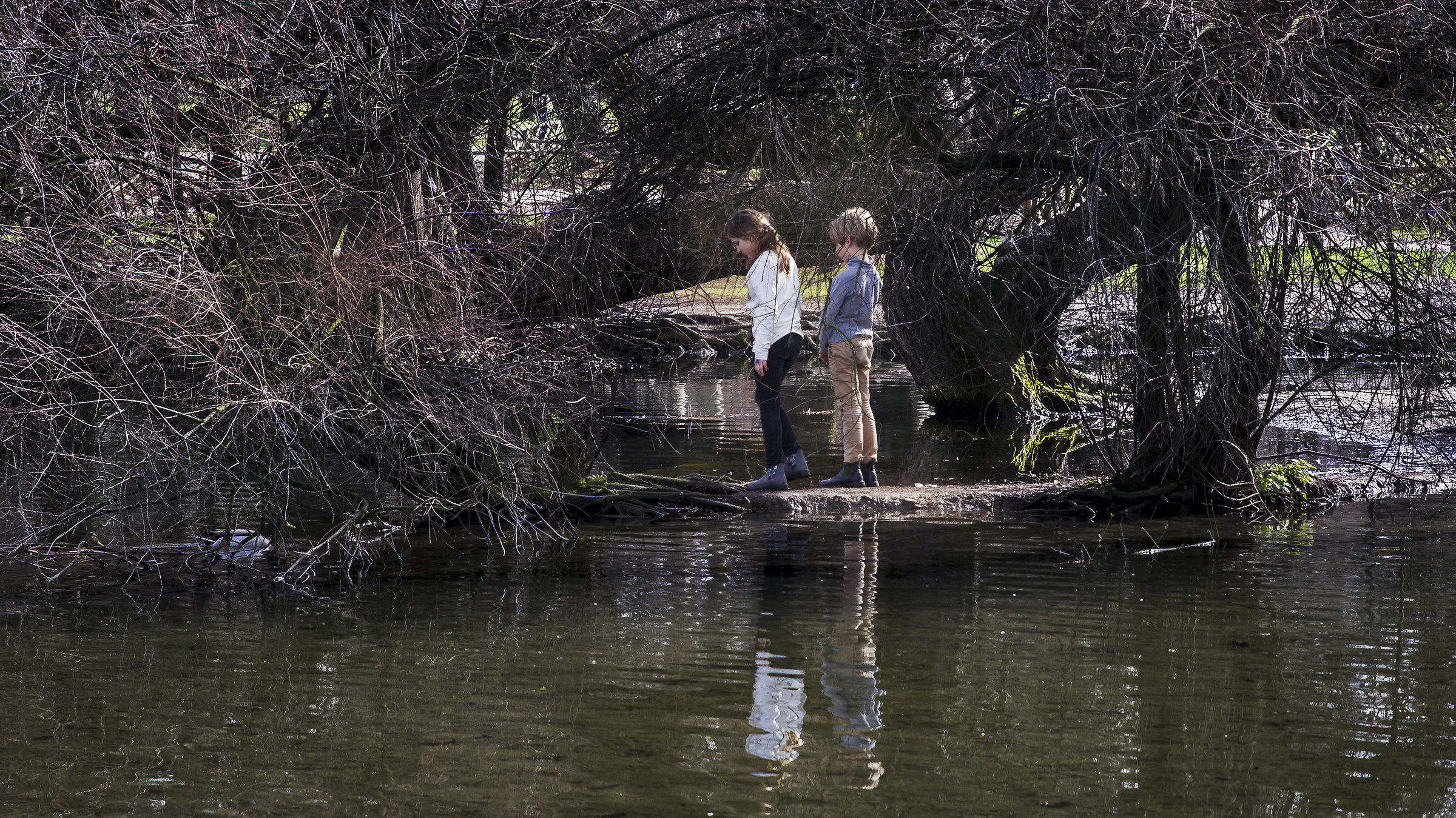 Reportage al parco sempione...