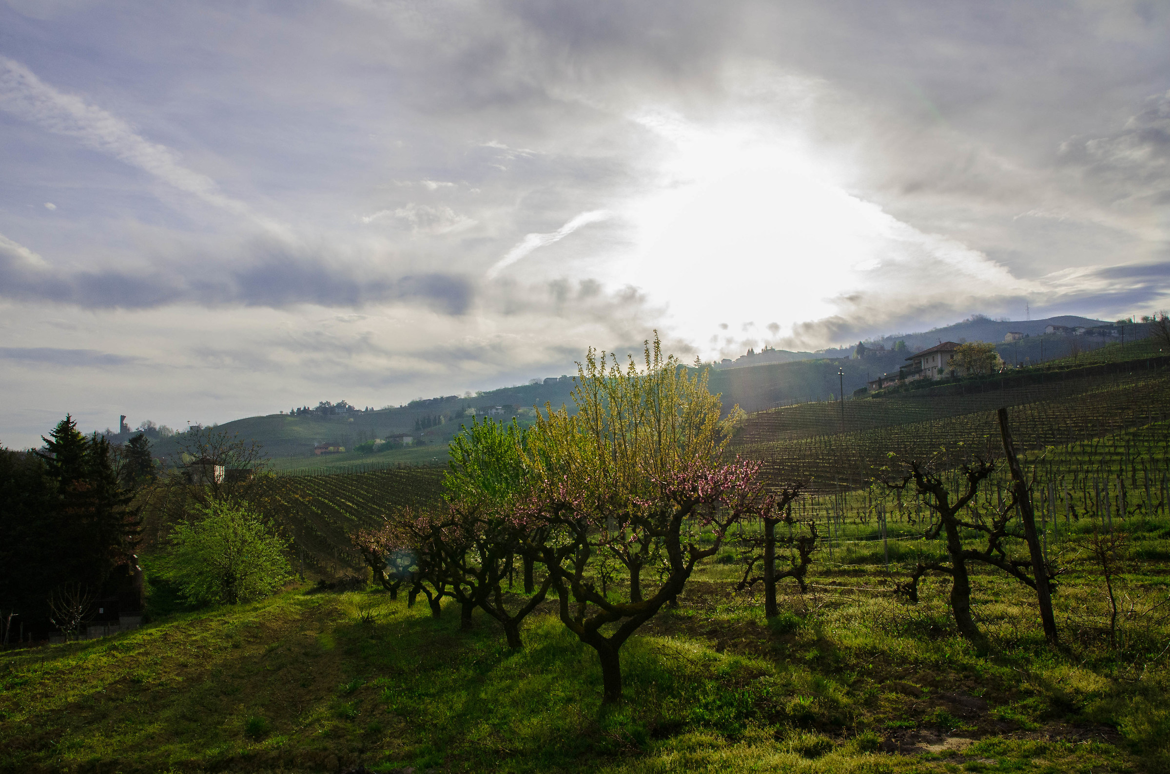 Relax in the Langhe...