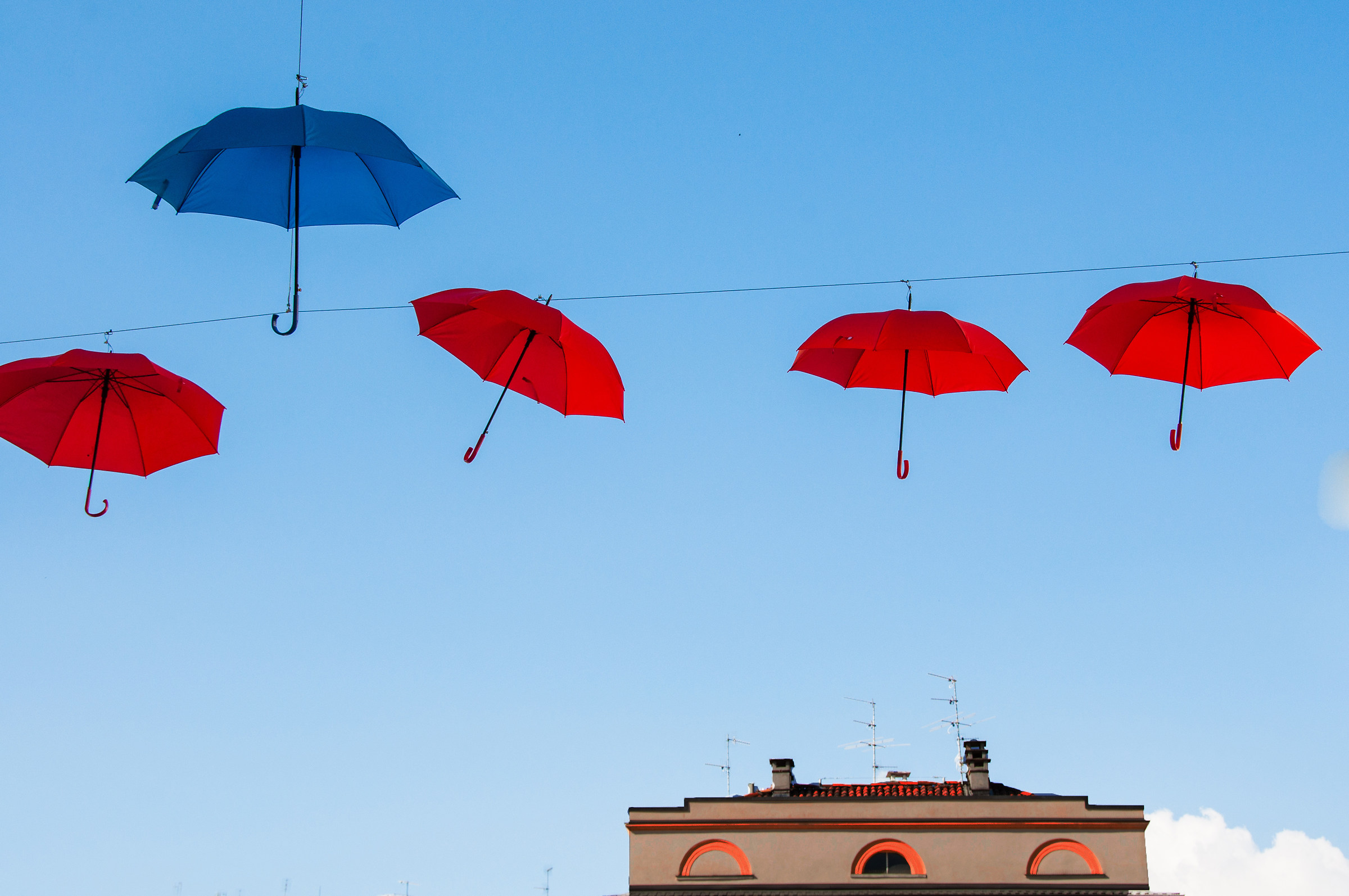 Biella Umbrellas in via Duomo...
