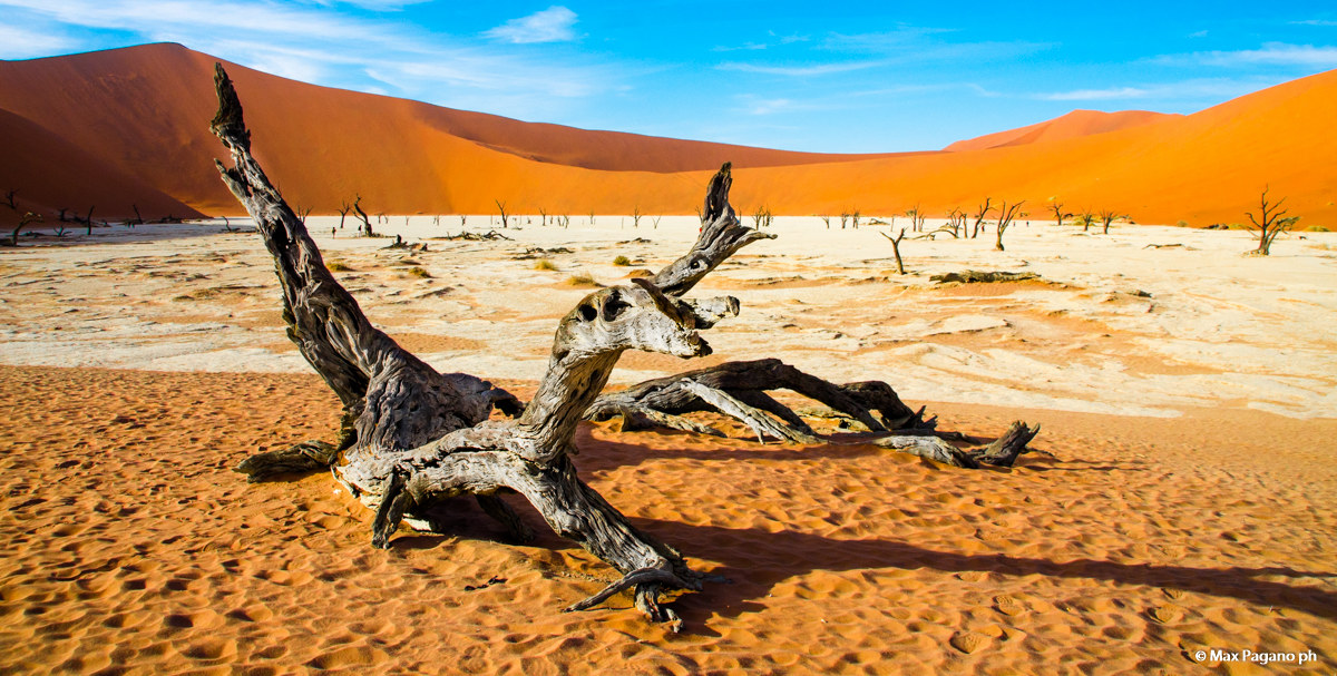 Namib Desert, Deadvlei...