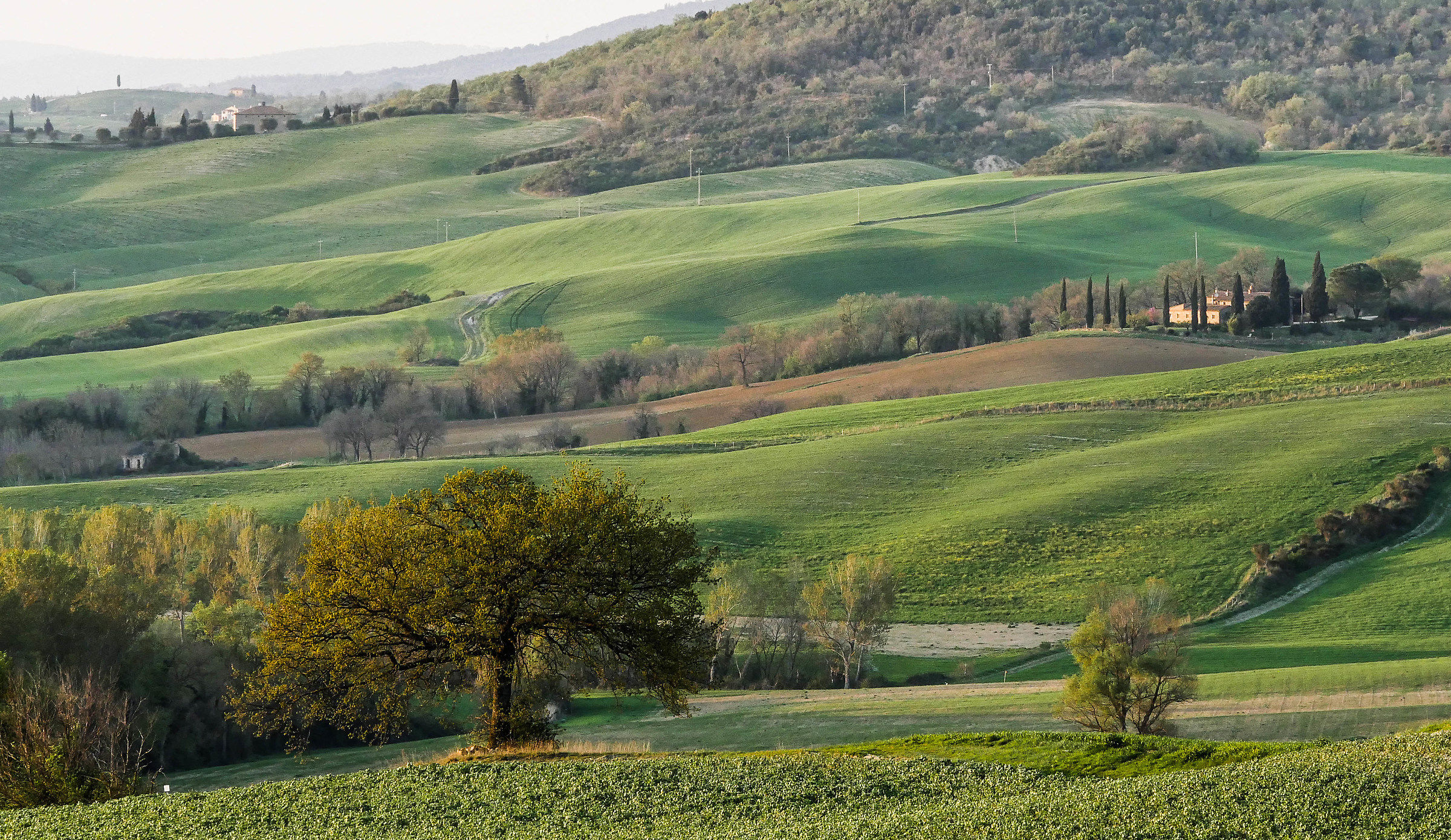 Val d'Orcia 5...