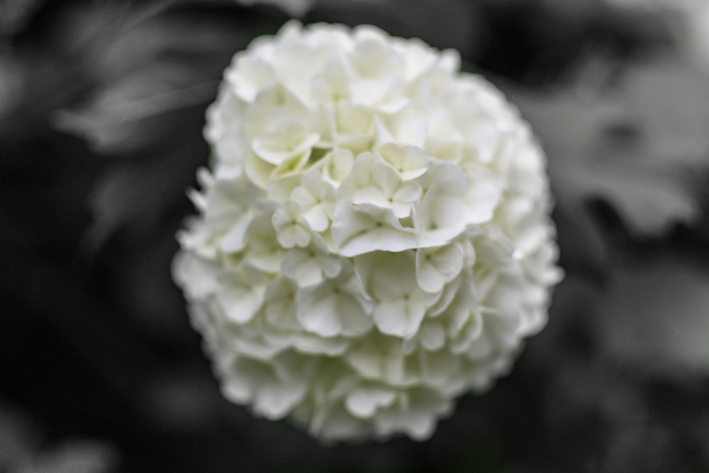 Untitled Photo...