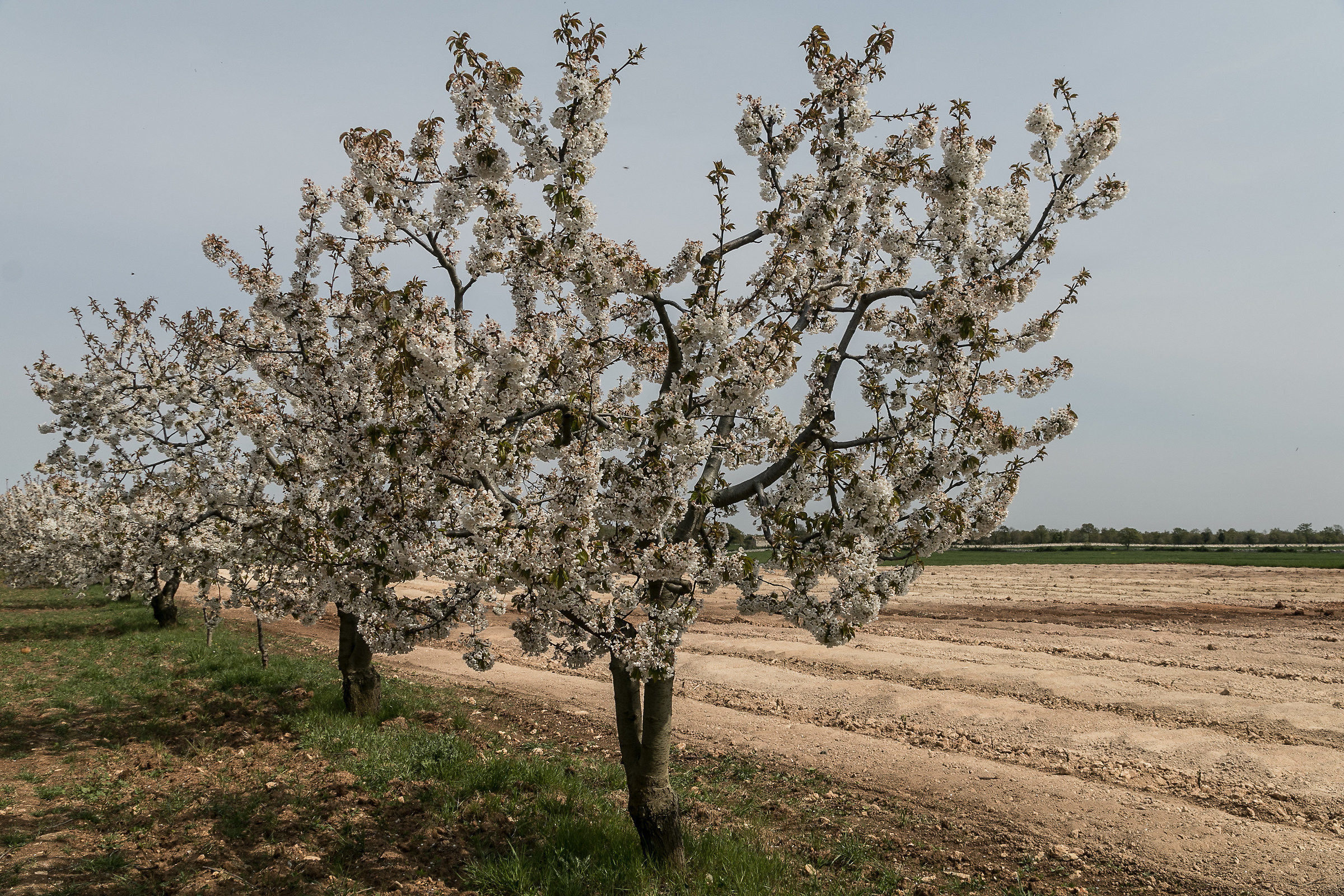 The colors of the countryside 3...