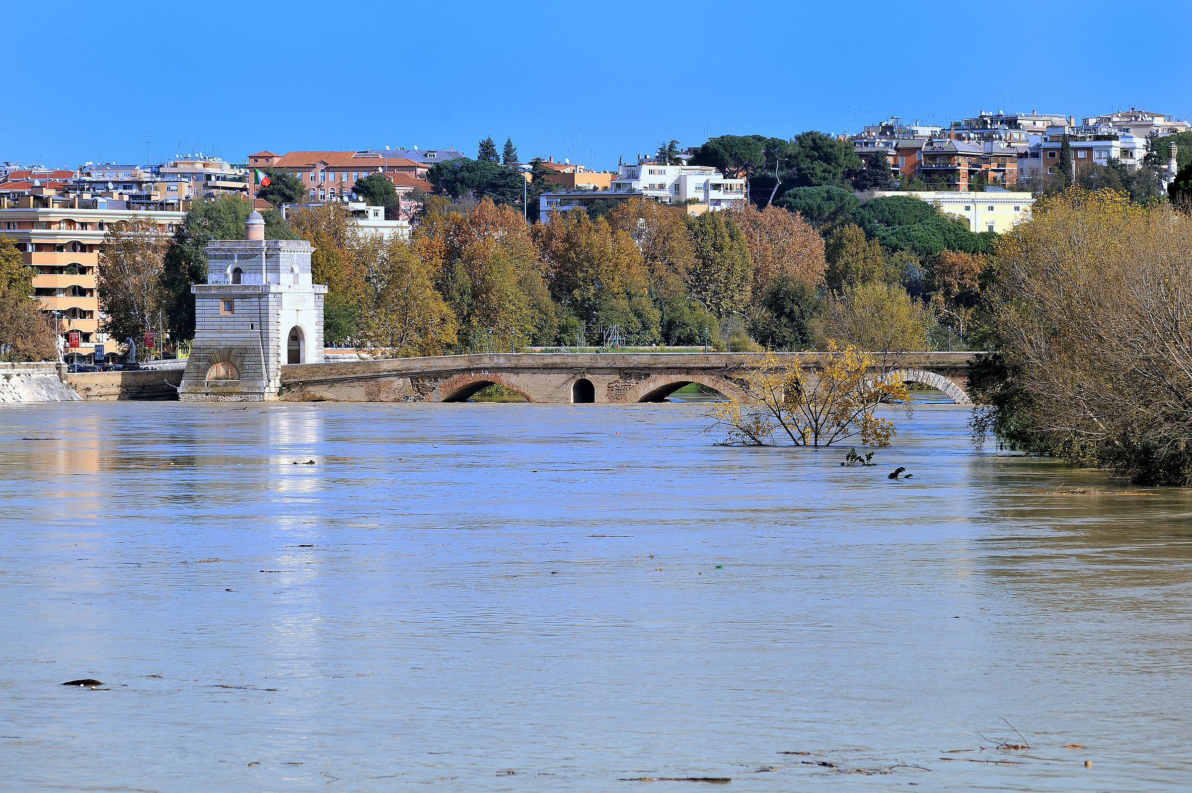 Ponti Storici Romani:Ponte Milvio (Piena Nov. 2012)...