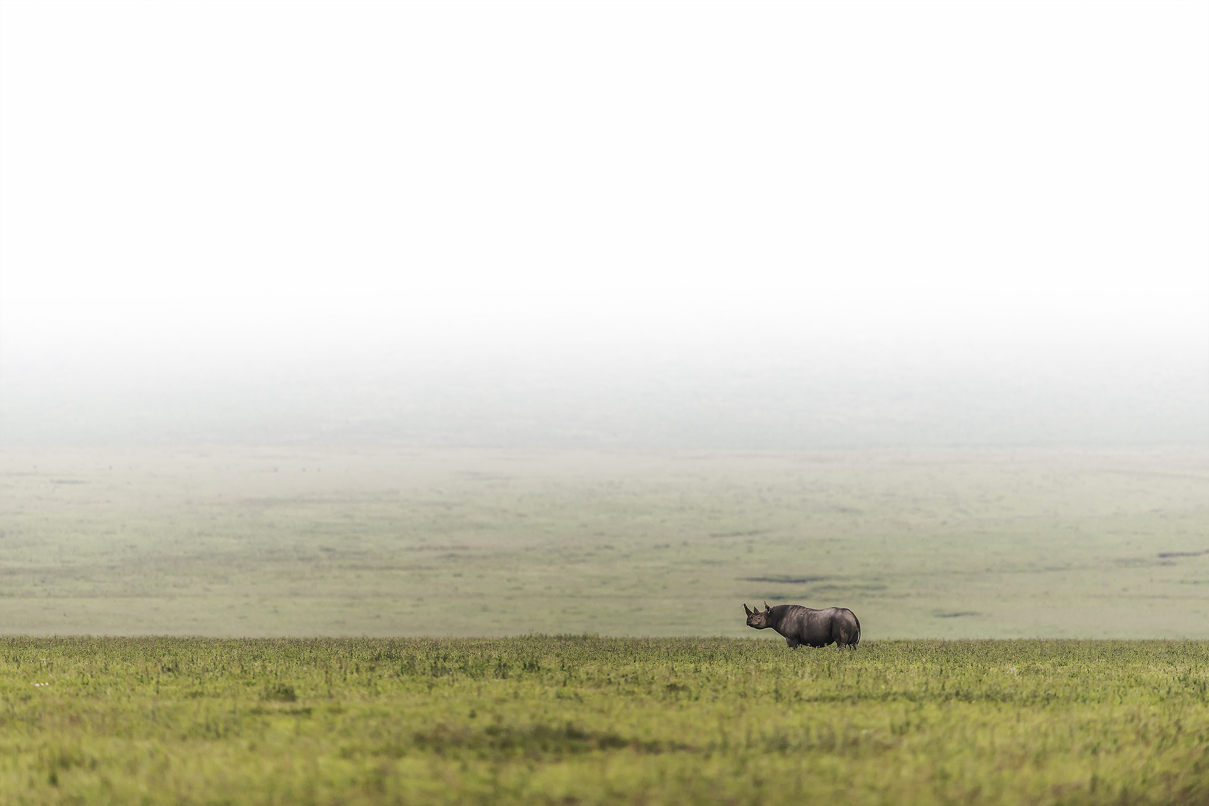 Tanzania 2017 - Ngorongoro crater...