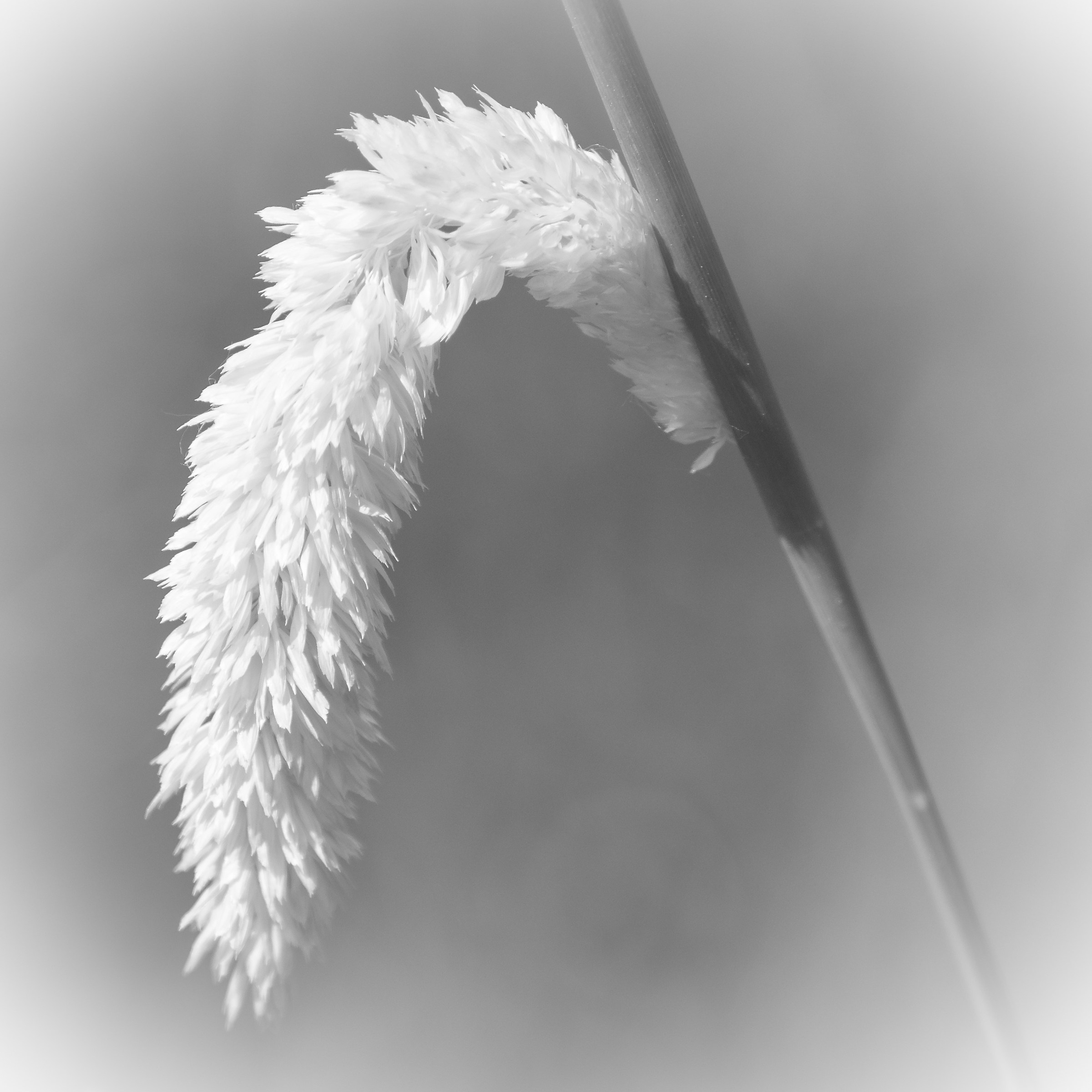 Untitled Photo...