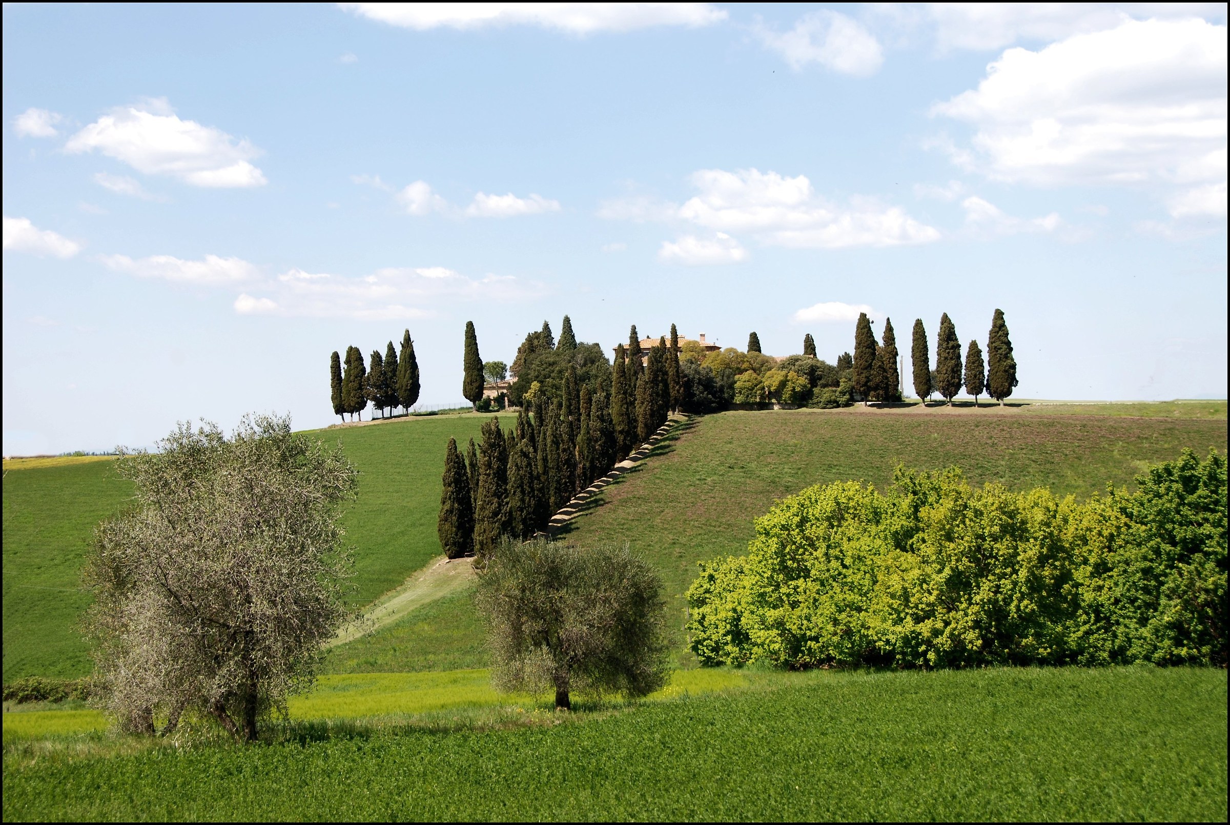 Here and there the Val d'Orcia...