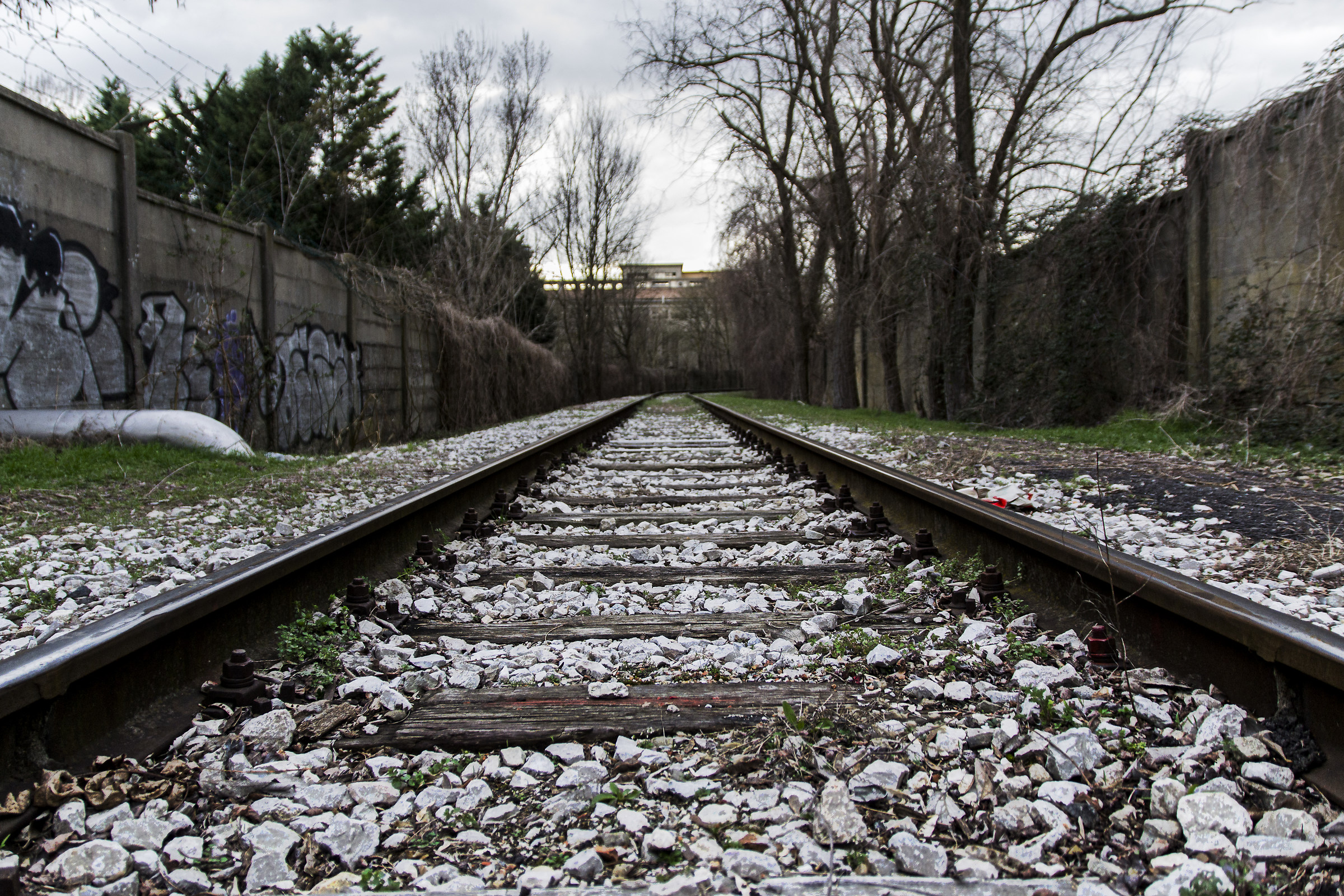 abandoned rails...