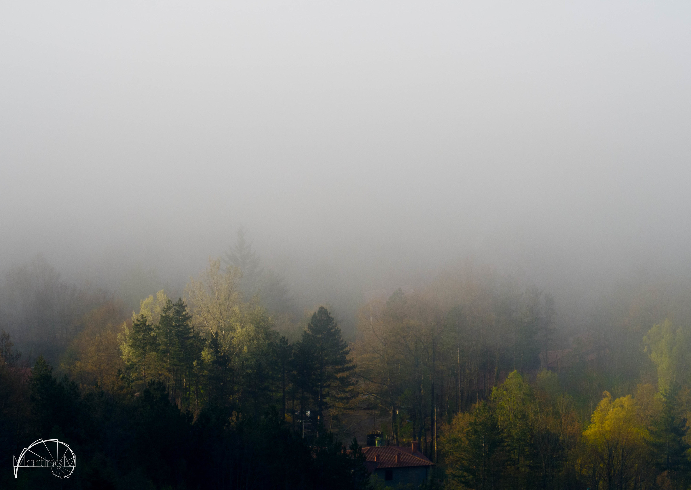 The morning mist...