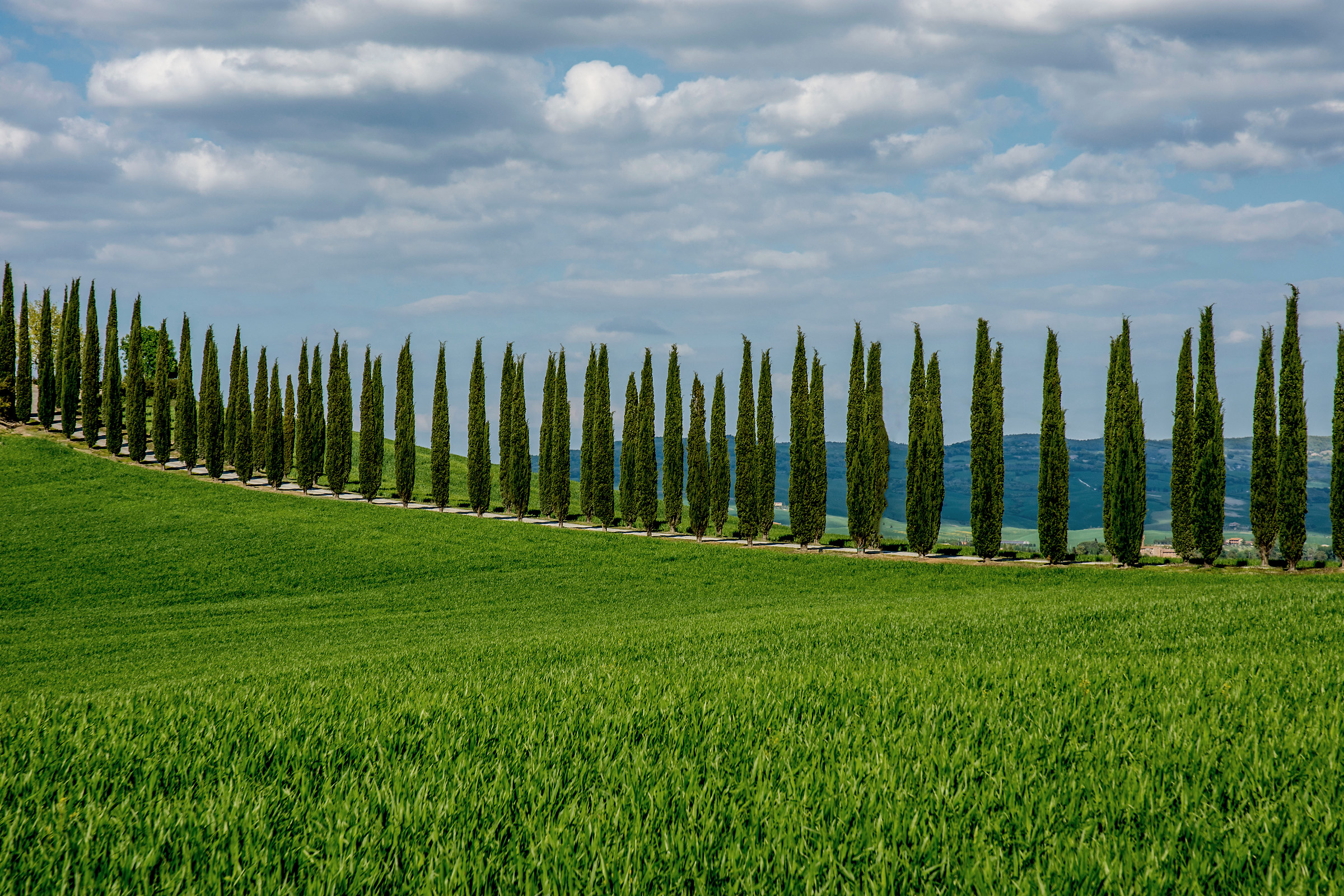 Tuscan Landscapes...