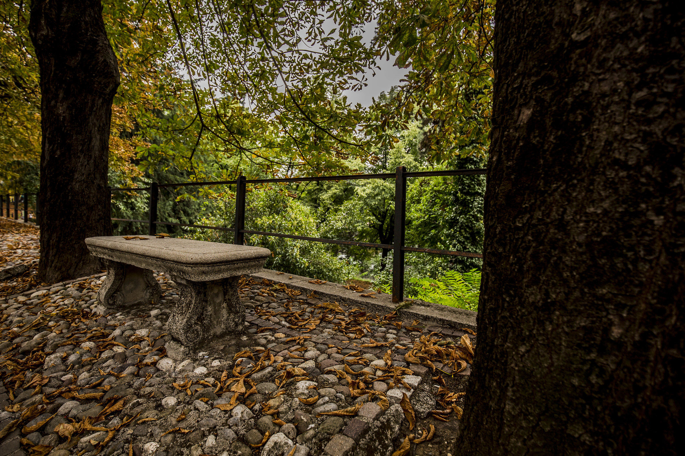 panchine......