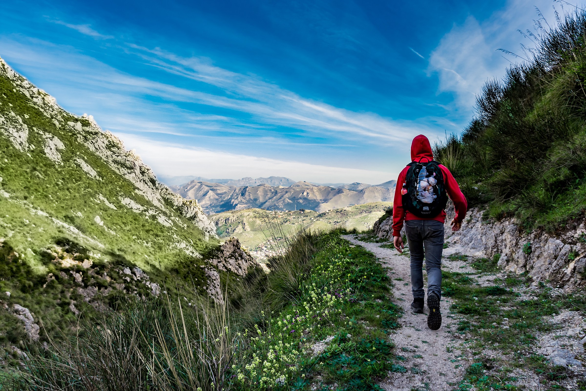 wayfarer...