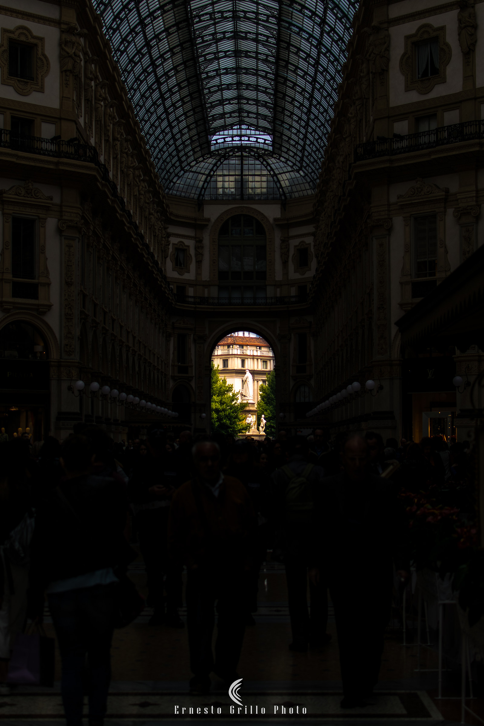 Infuse the gallery...
